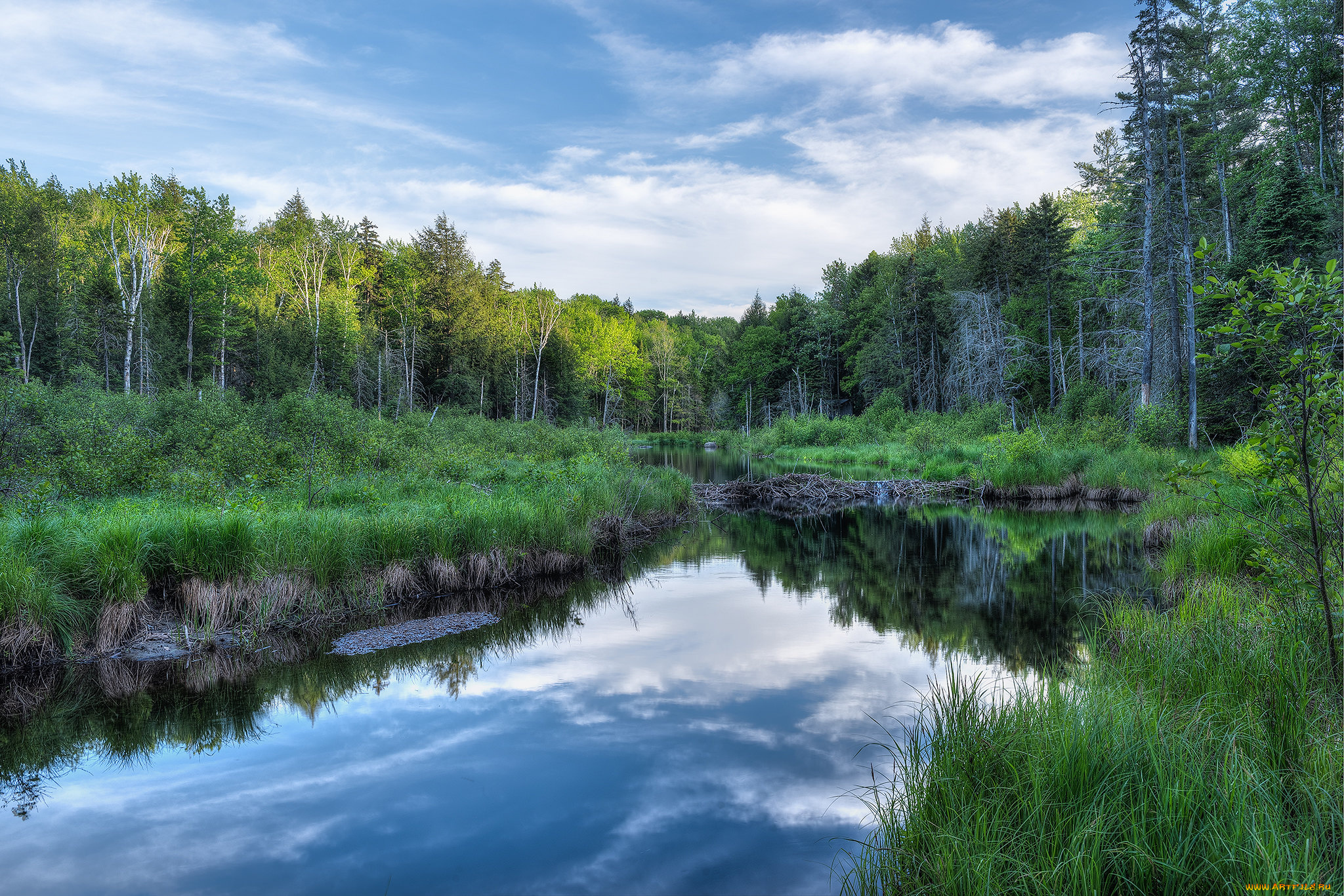 природа, реки, озера, простор
