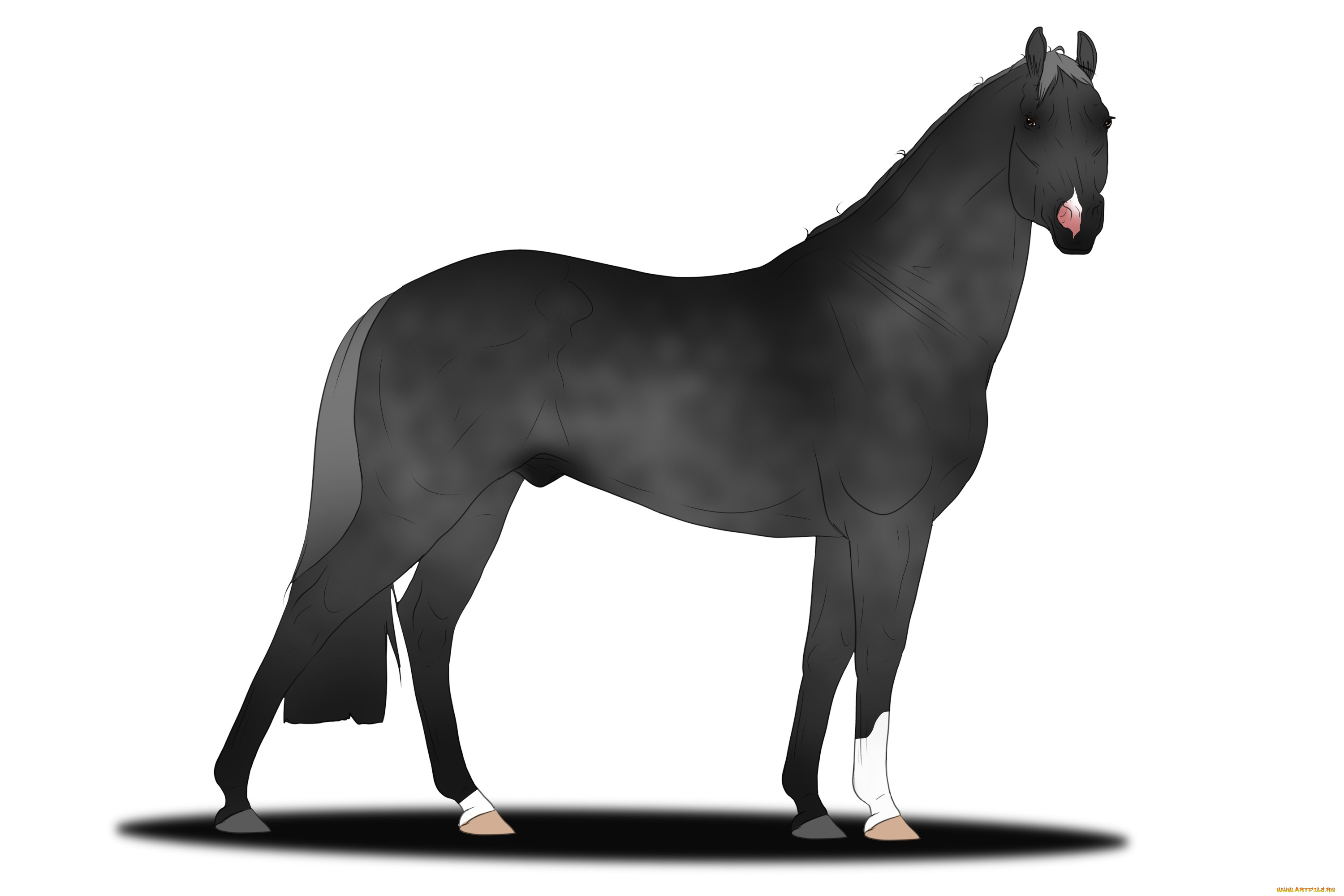 рисованное, животные, , лошади, лошадь