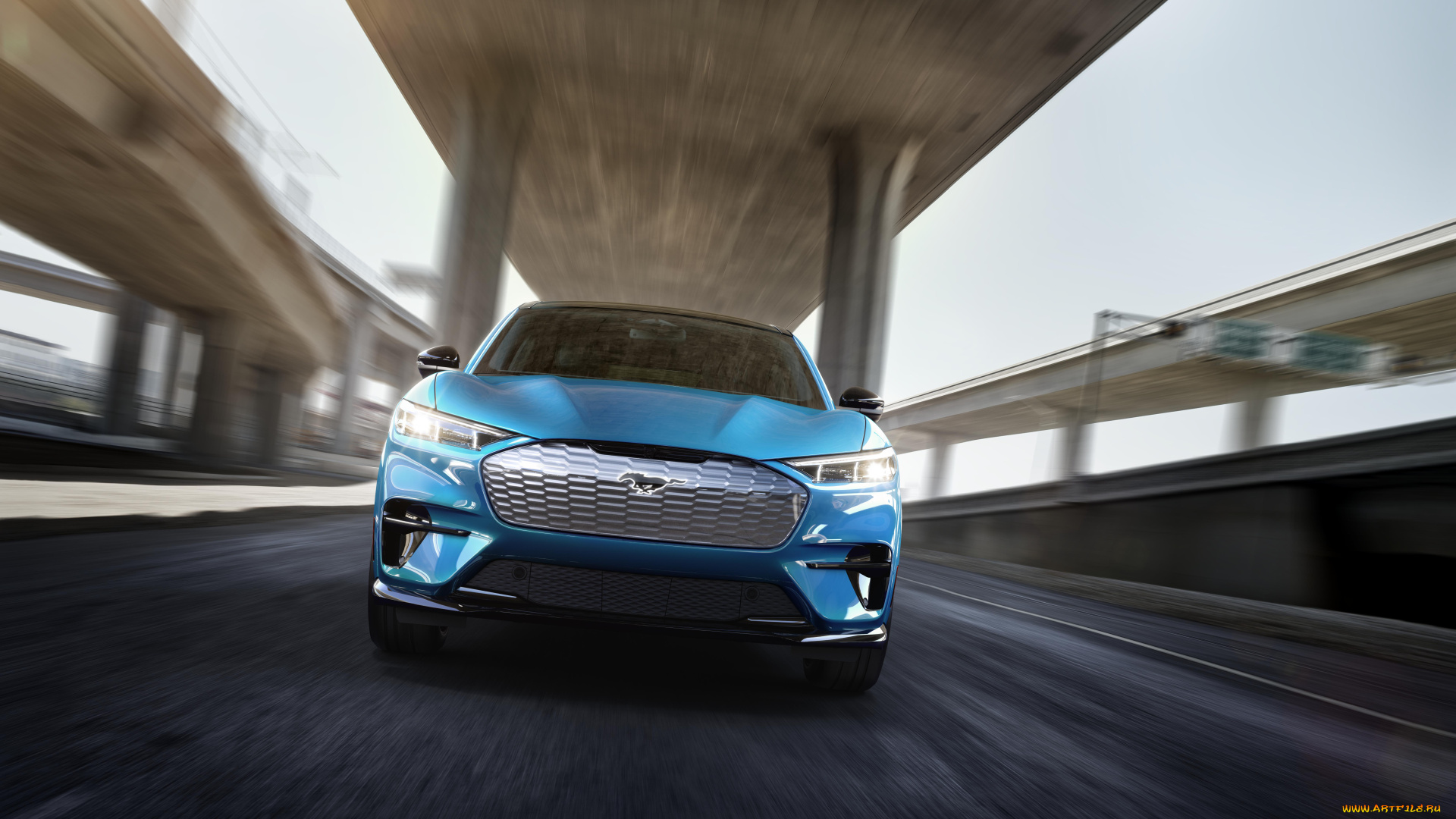 автомобили, mustang