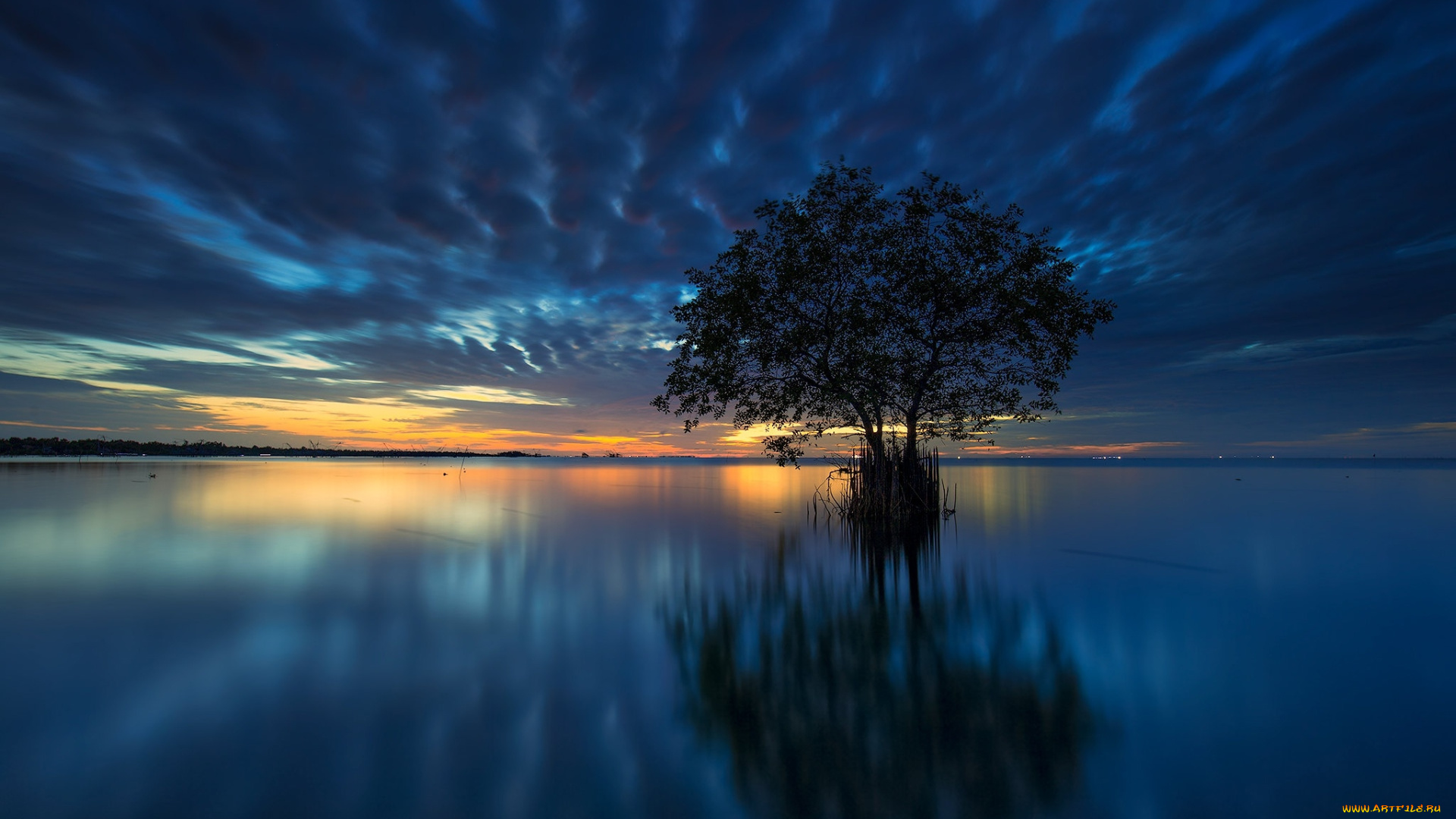 природа, восходы, закаты, закат, озеро, дерево