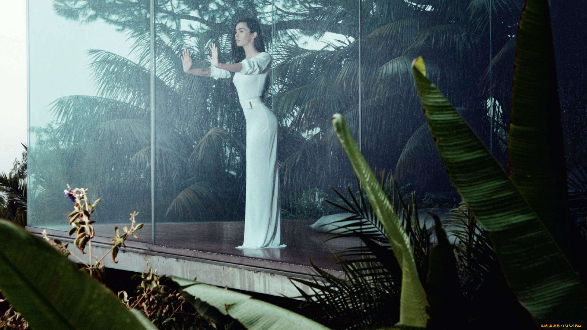 девушки, megan, fox, актриса, платье, куб, стекло, дождь, джунгли