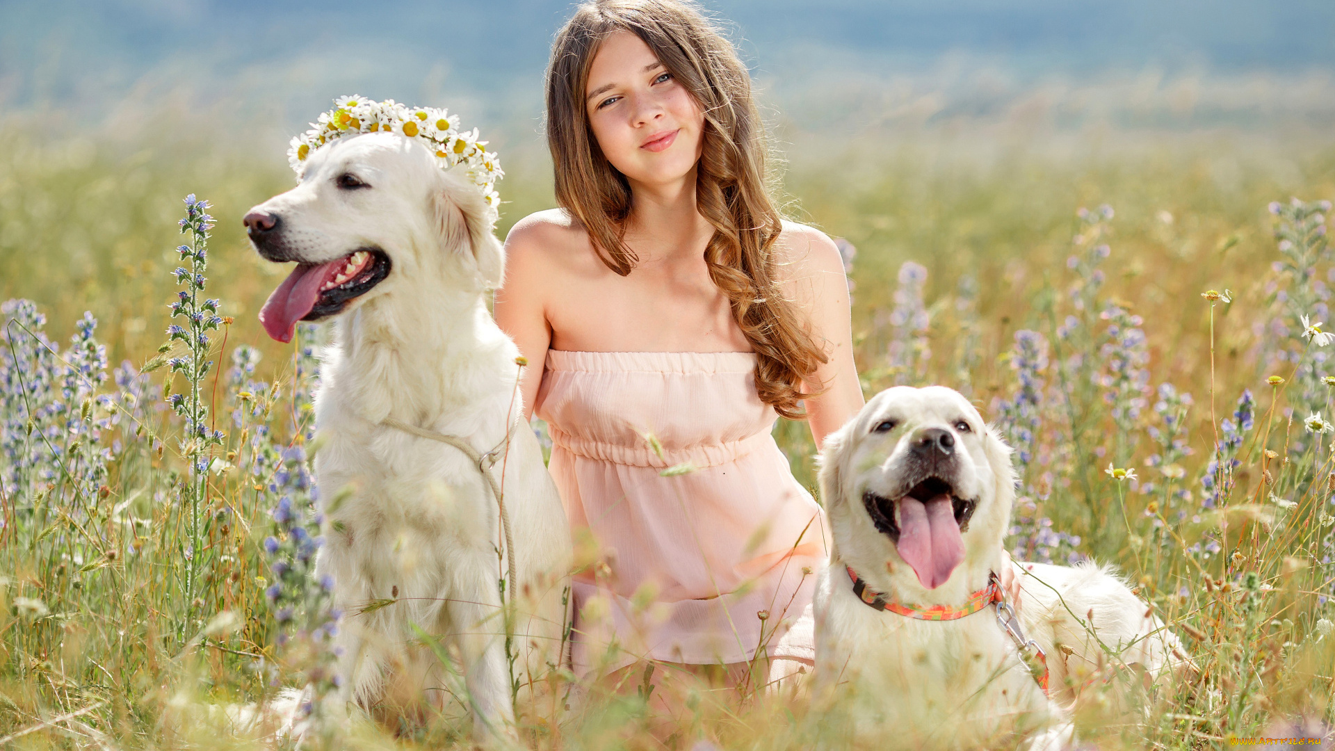 разное, дети, девочка, собаки, венок, луг