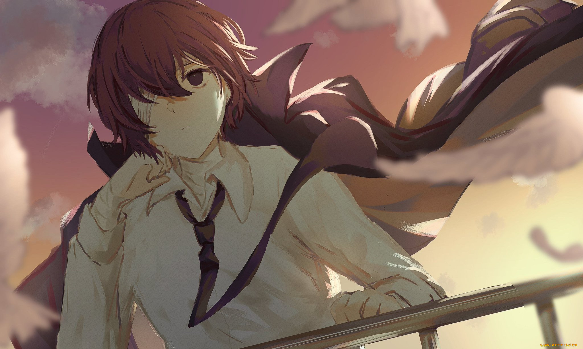 аниме, bungou, stray, dogs, bungou, stray, dogs