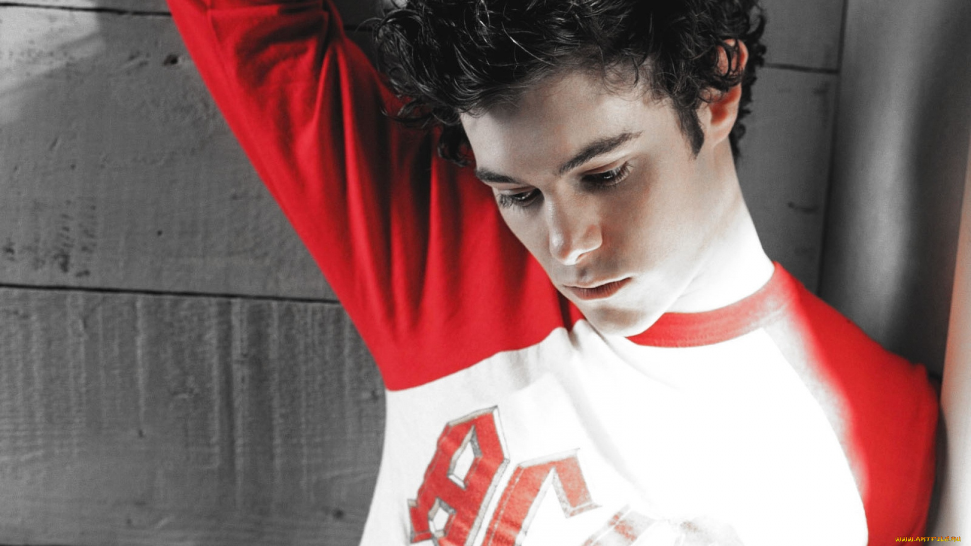 мужчины, adam, brody, актер, лицо, свитер