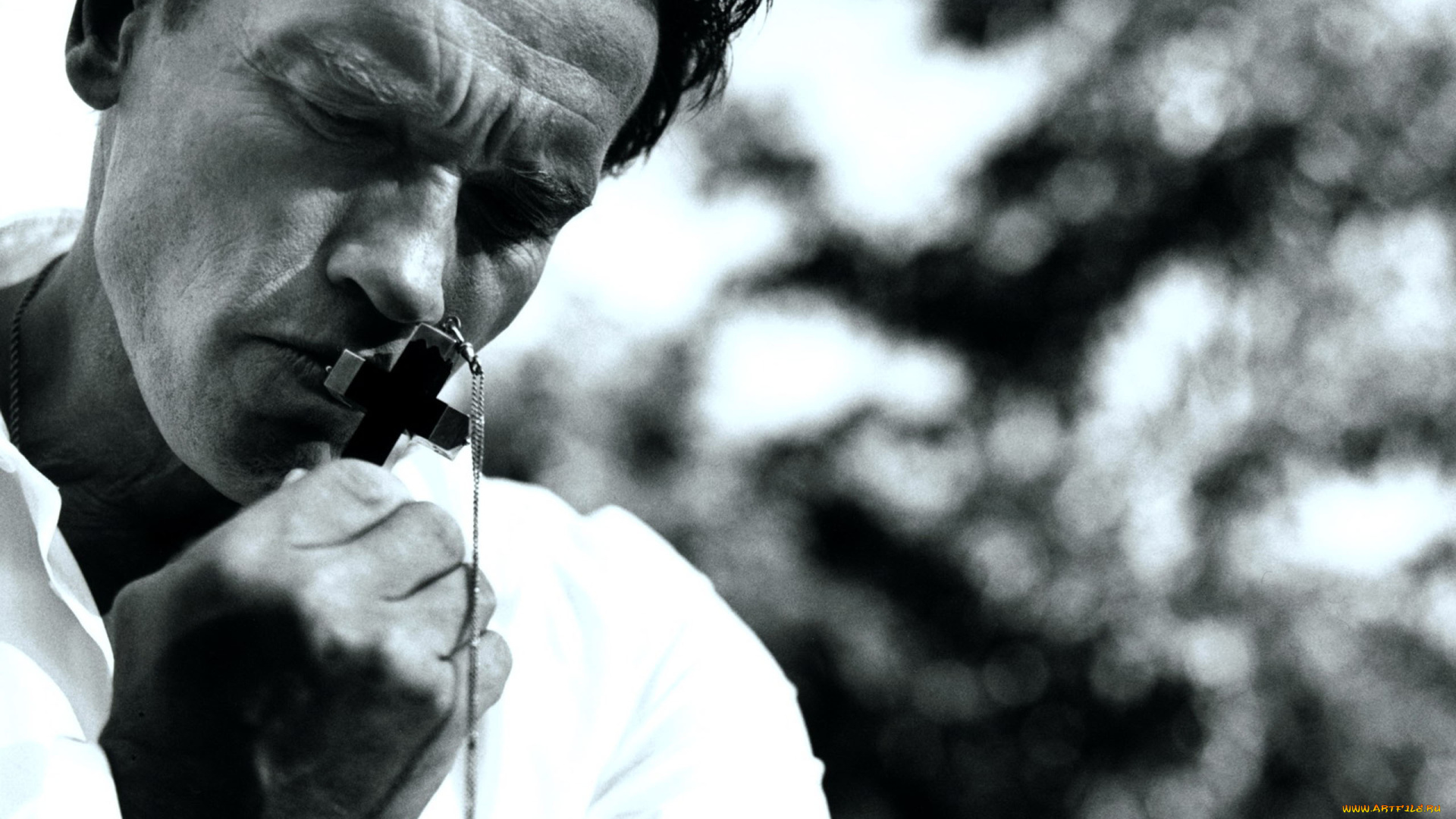 мужчины, arnold, schwarzenegger, актер, лицо, крест