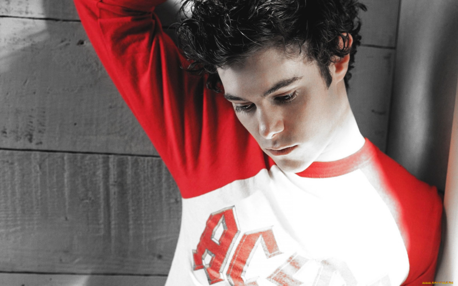 мужчины, adam, brody, актер, лицо, свитер