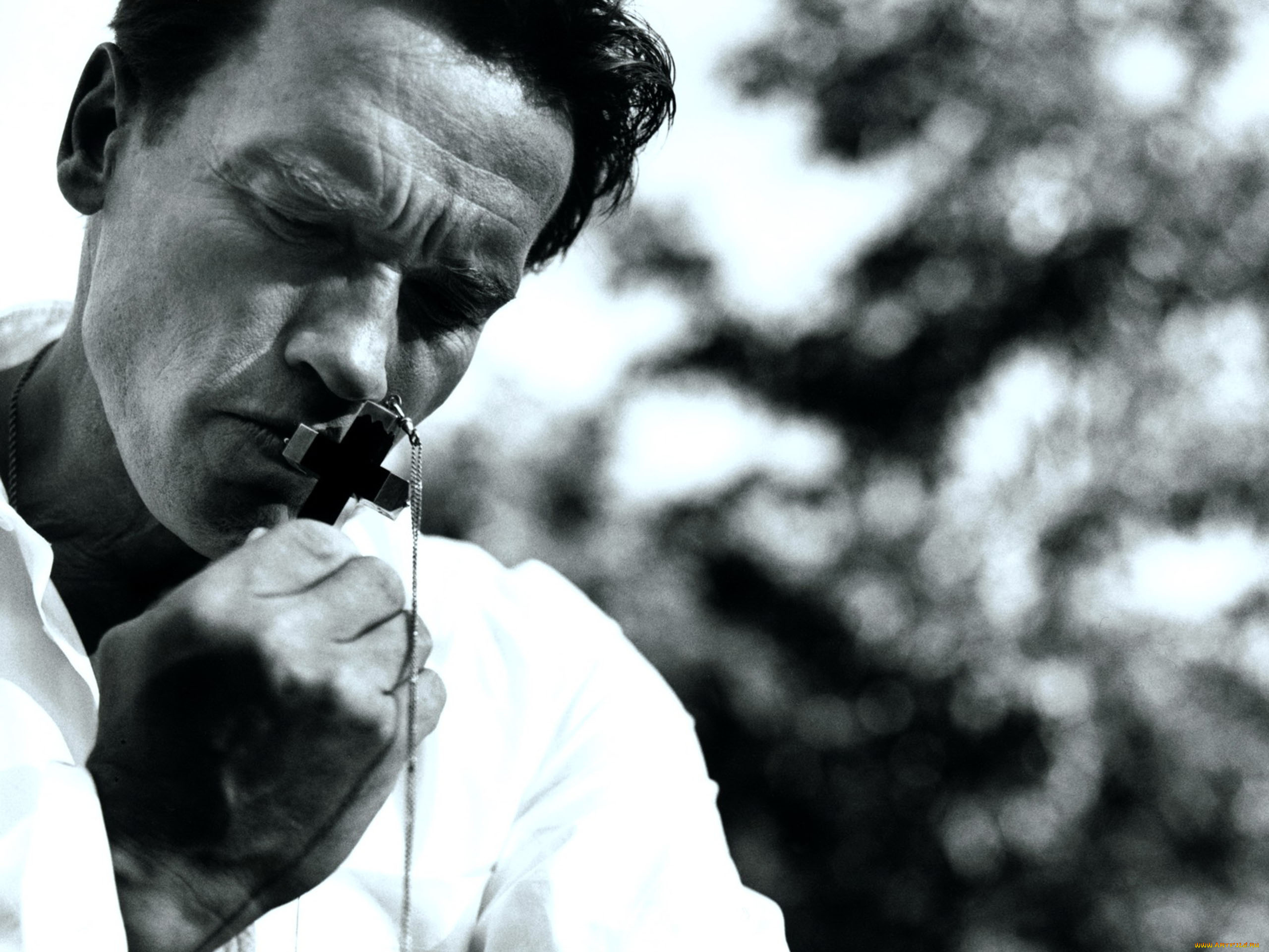 мужчины, arnold, schwarzenegger, актер, лицо, крест