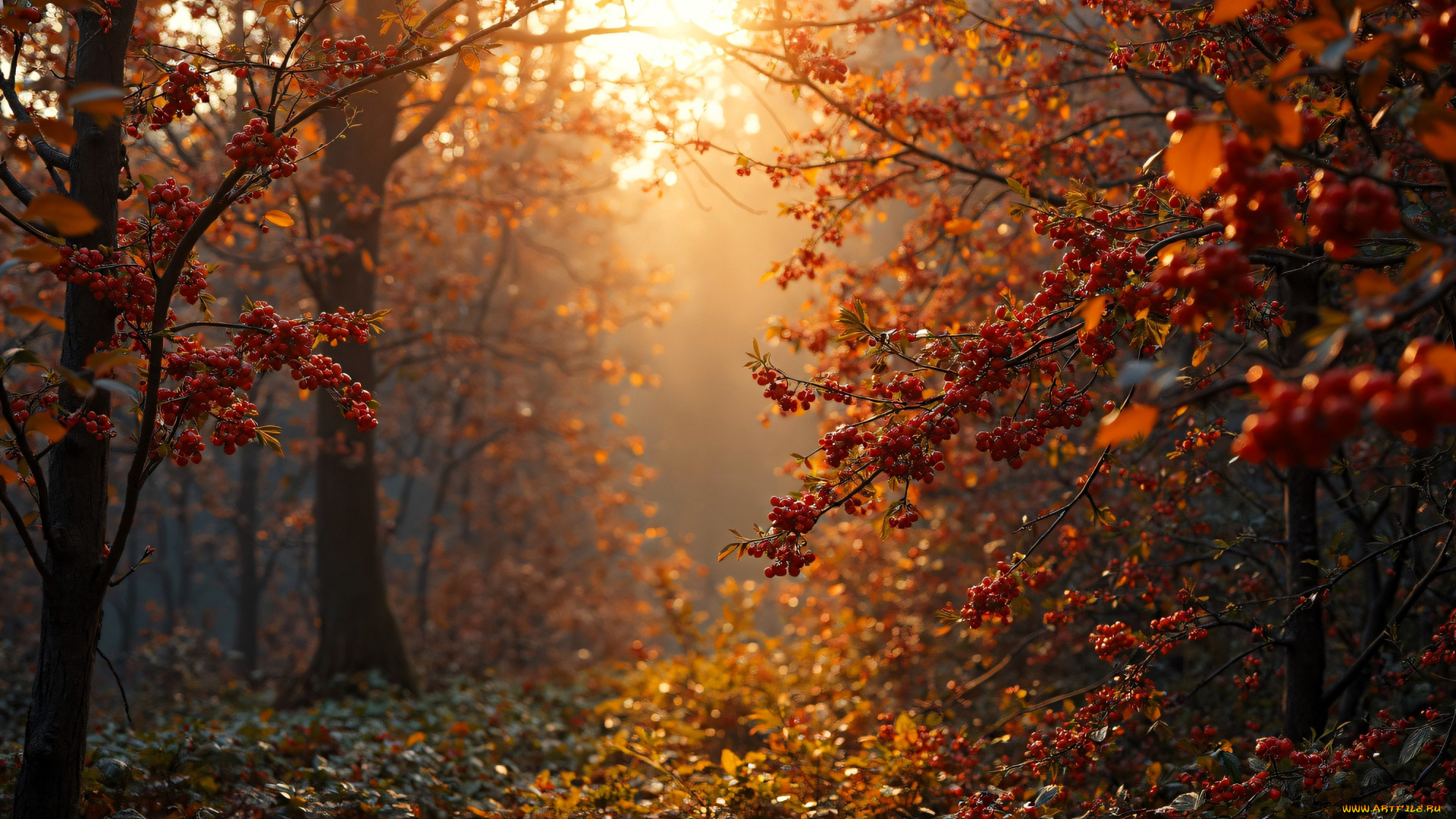 3д, графика, природа, , nature, осень, лес, кусты, деревья, рябина, ягоды