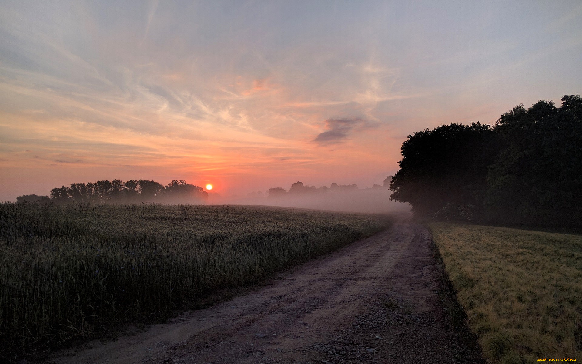 природа, дороги, дорога, закат, поля, роща