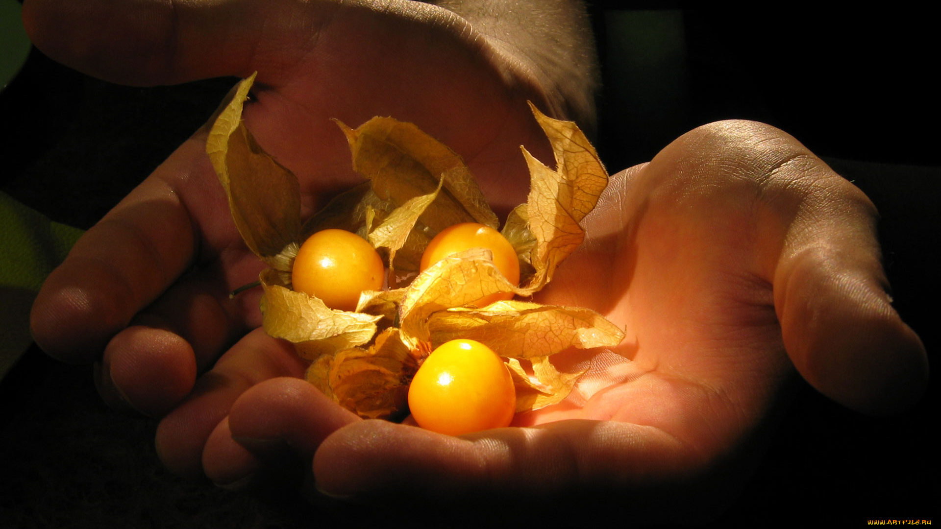 разное, руки