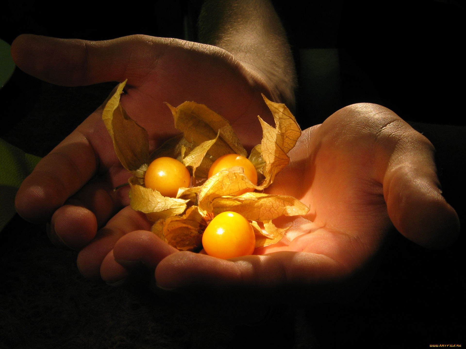 разное, руки