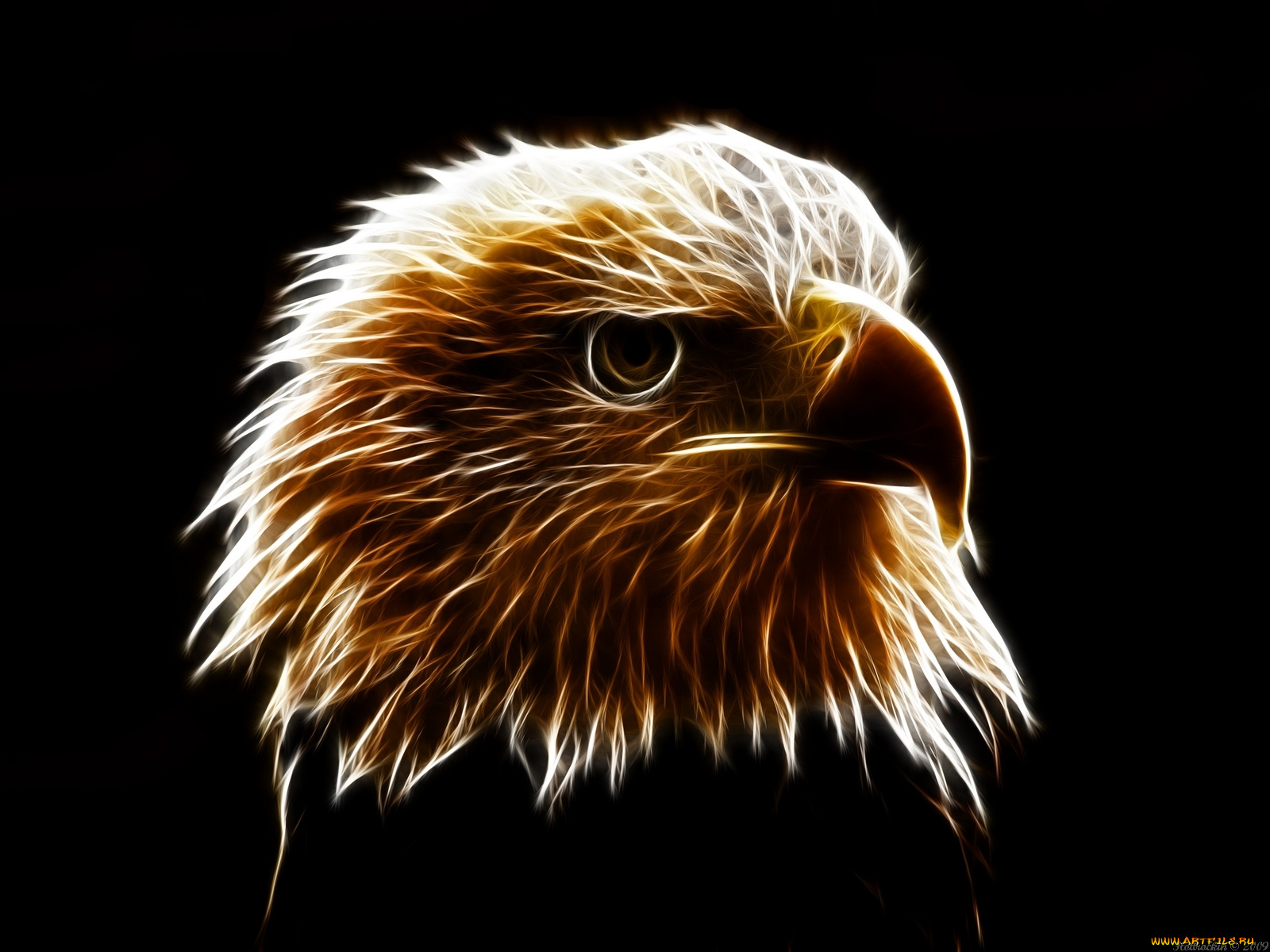 3д, графика, animals, животные, орел