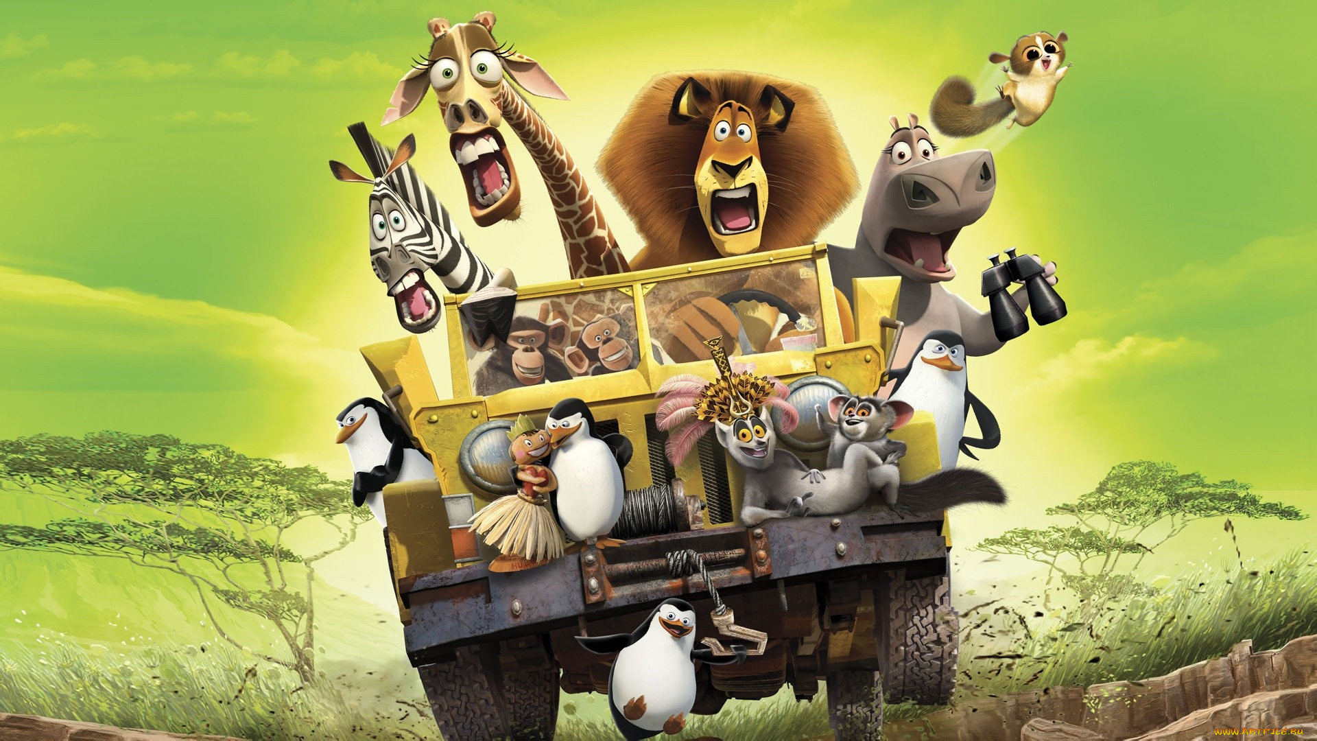madagascar, мультфильмы, мультик