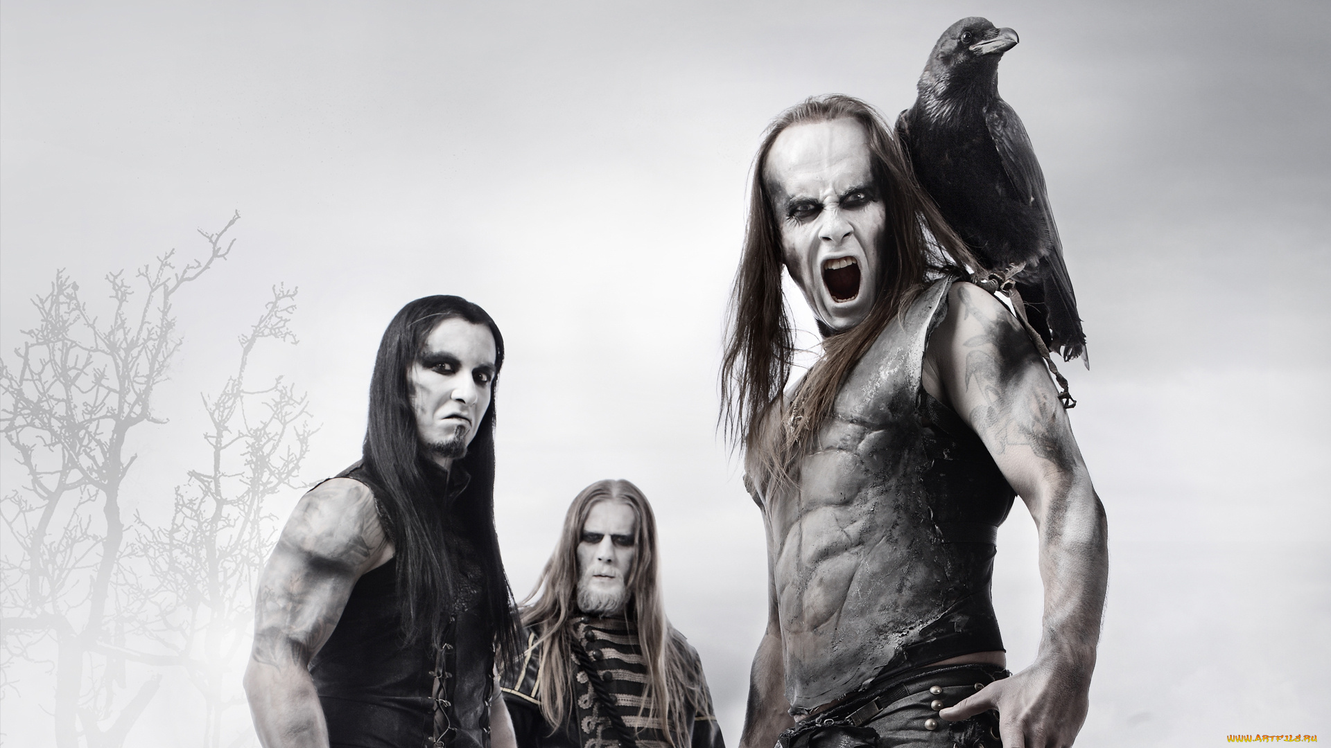 музыка, behemoth, metal, band