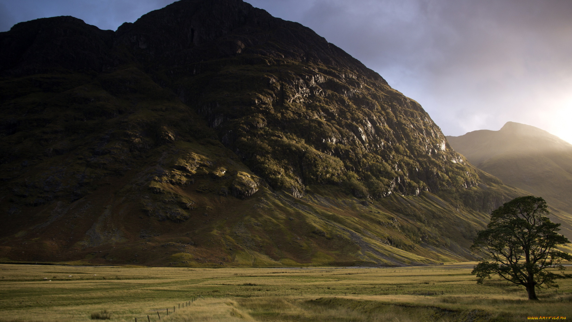 природа, горы, поле, гора, дерево