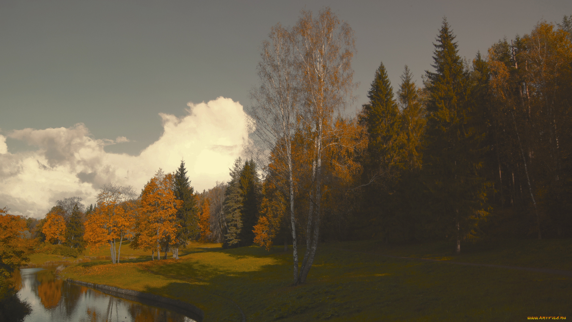 природа, пейзажи, осень, павловск, лес, пруд