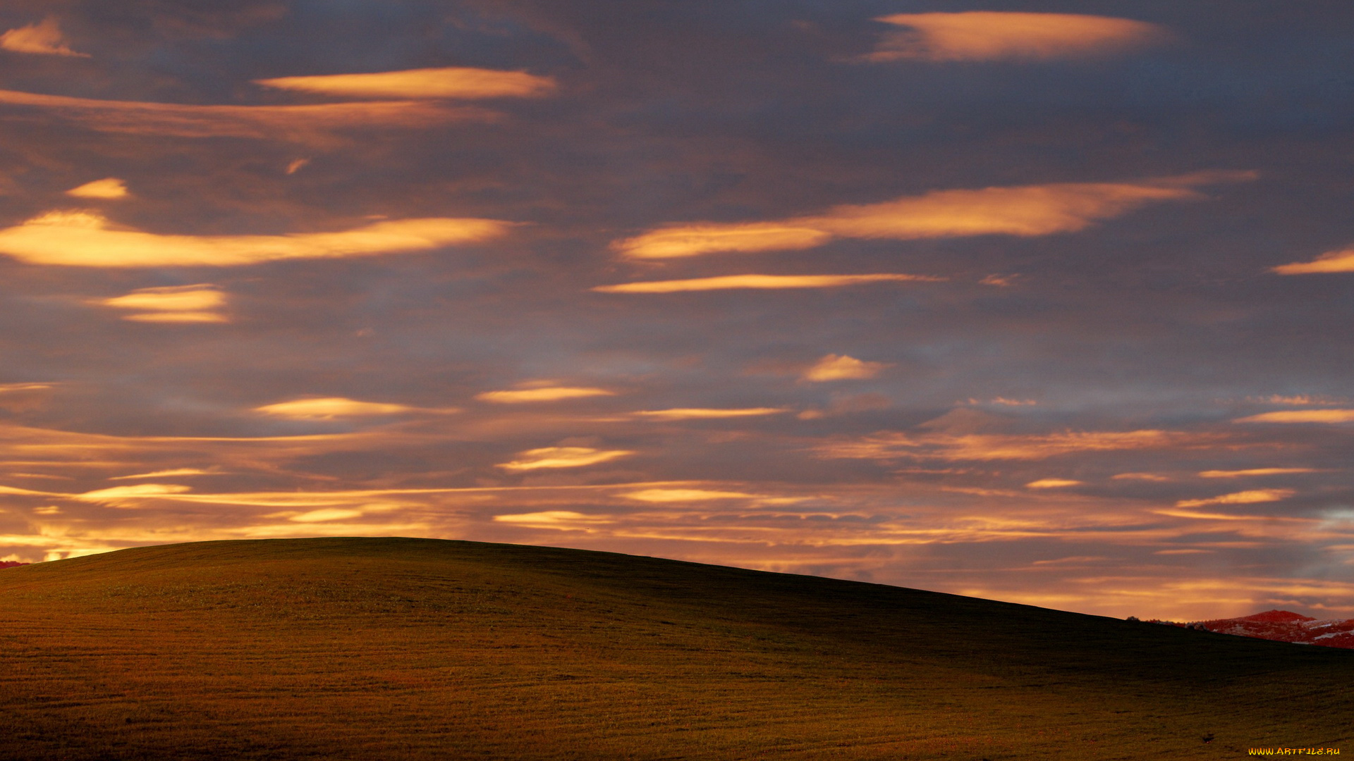природа, поля, облака
