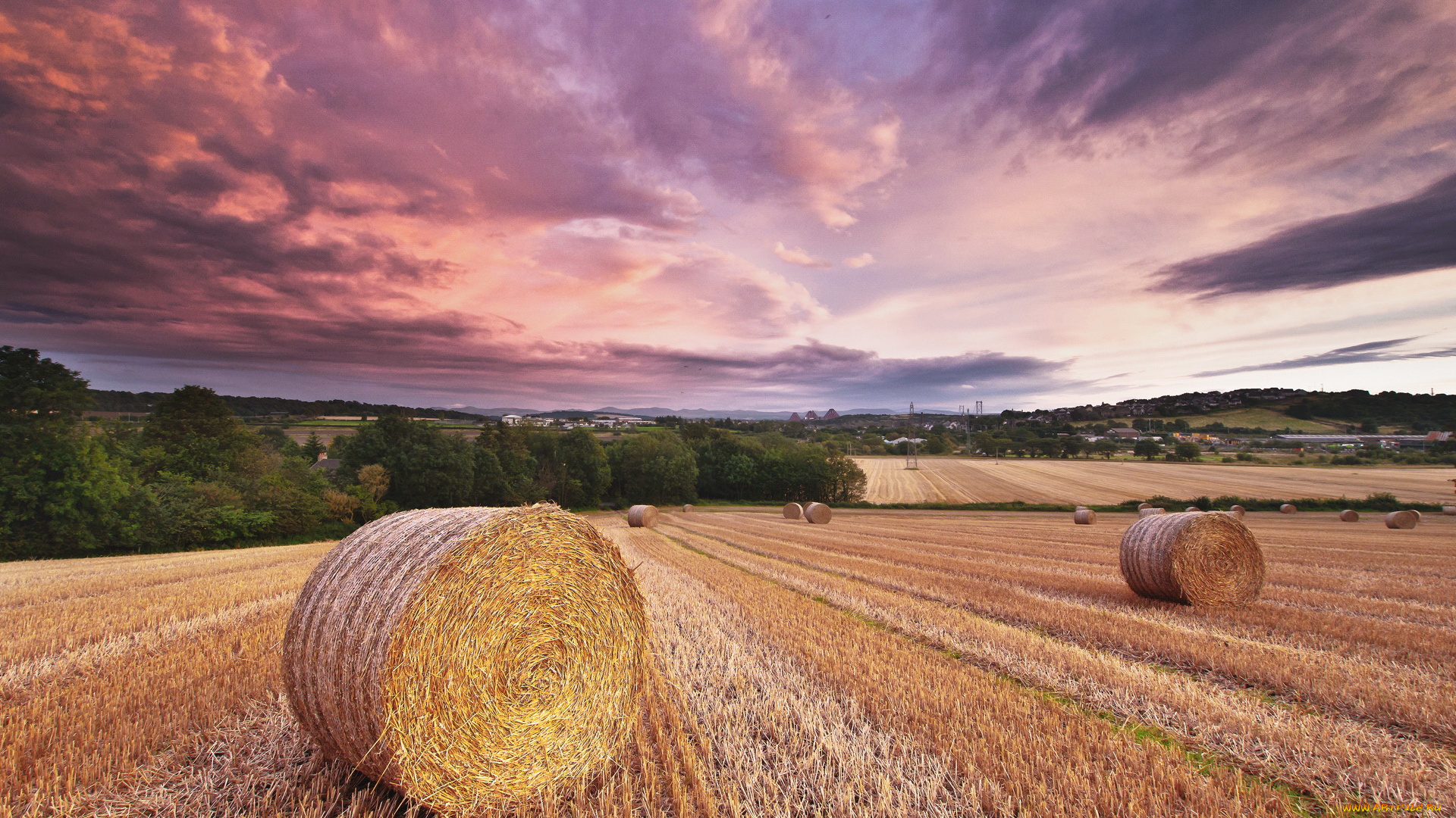 природа, поля, поле, облака, сено