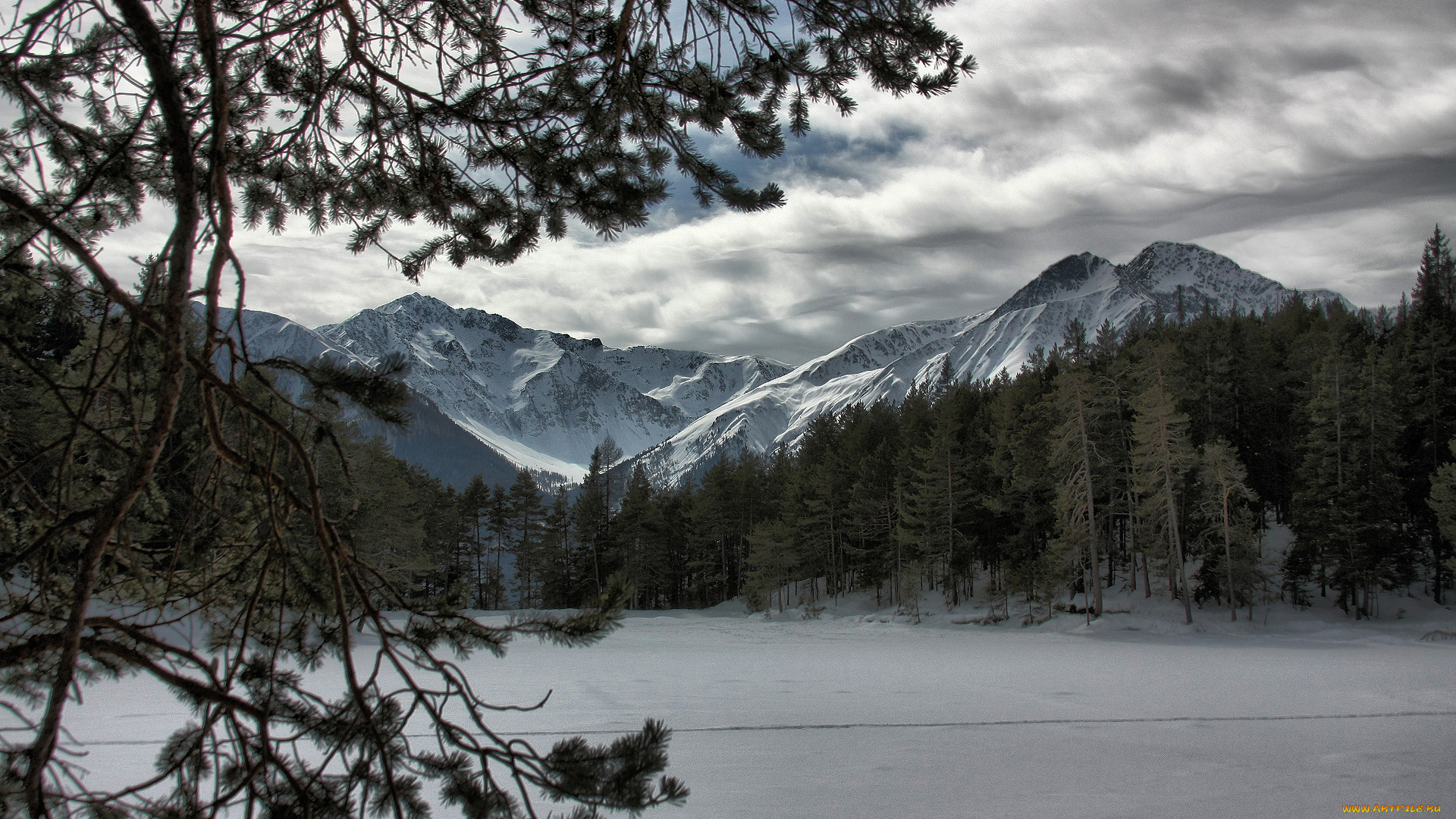 природа, зима, горы, снег, небо, деревья, елки, тучи
