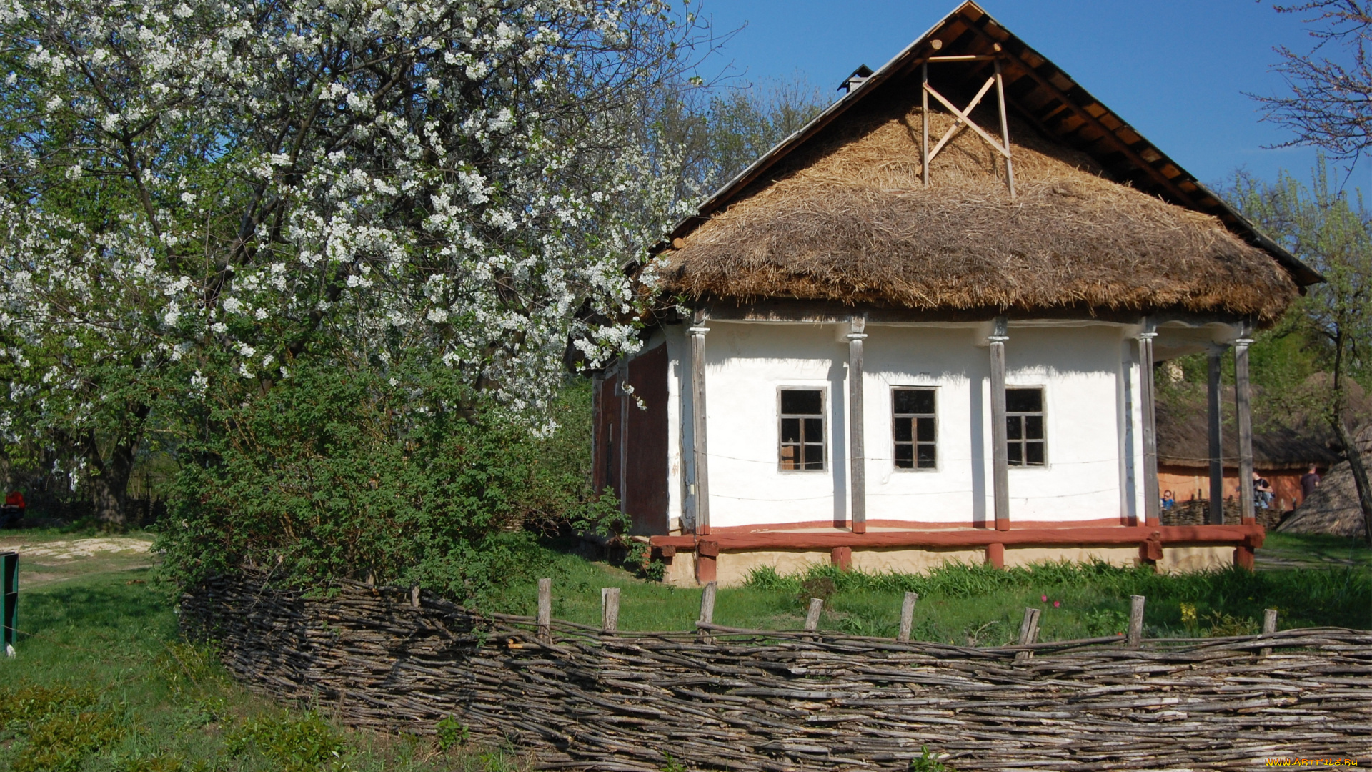 разное, сооружения, постройки, украинская, хата, плетень, яблоня, цветы