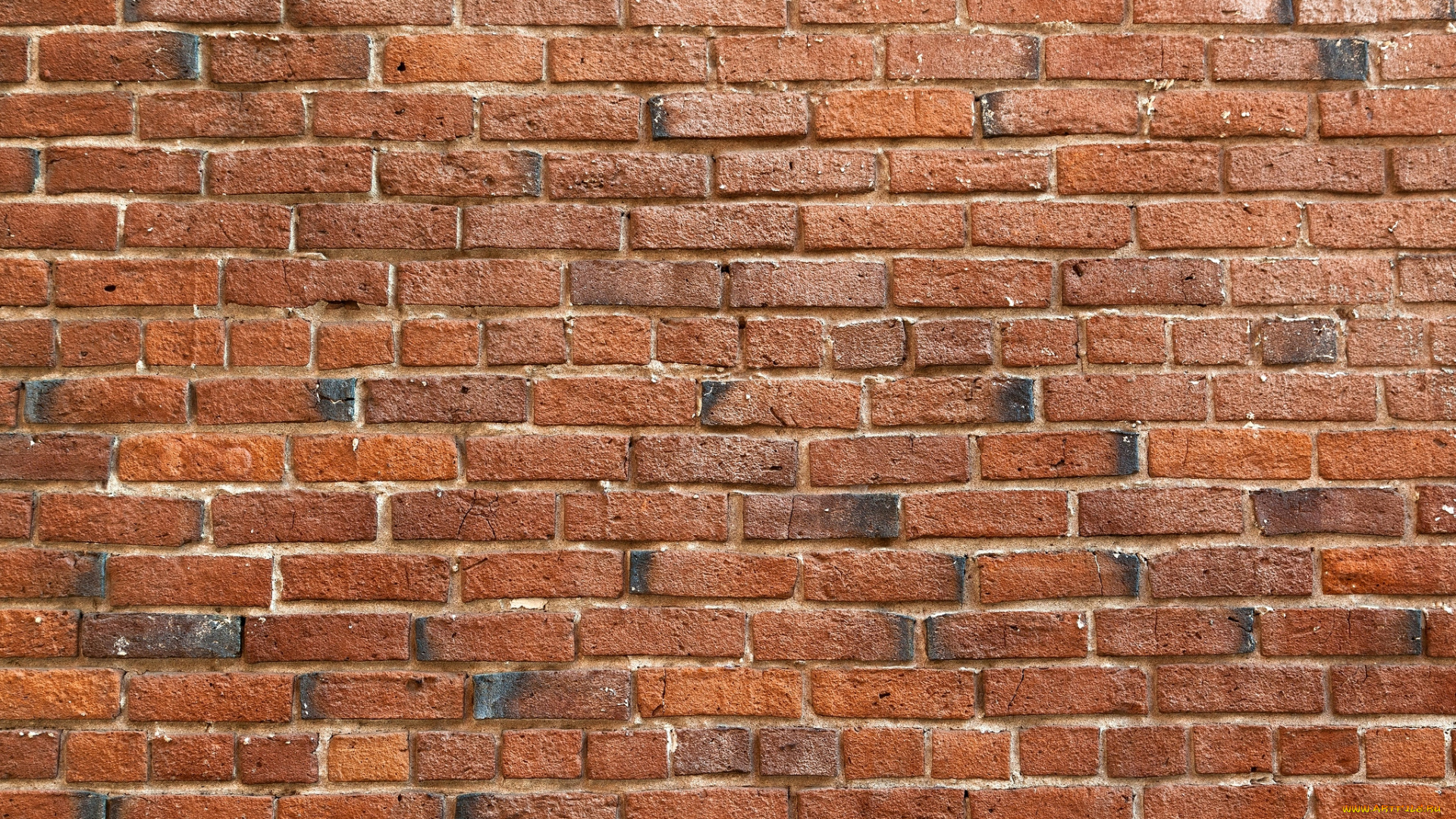 разное, текстуры, стена, кирпич