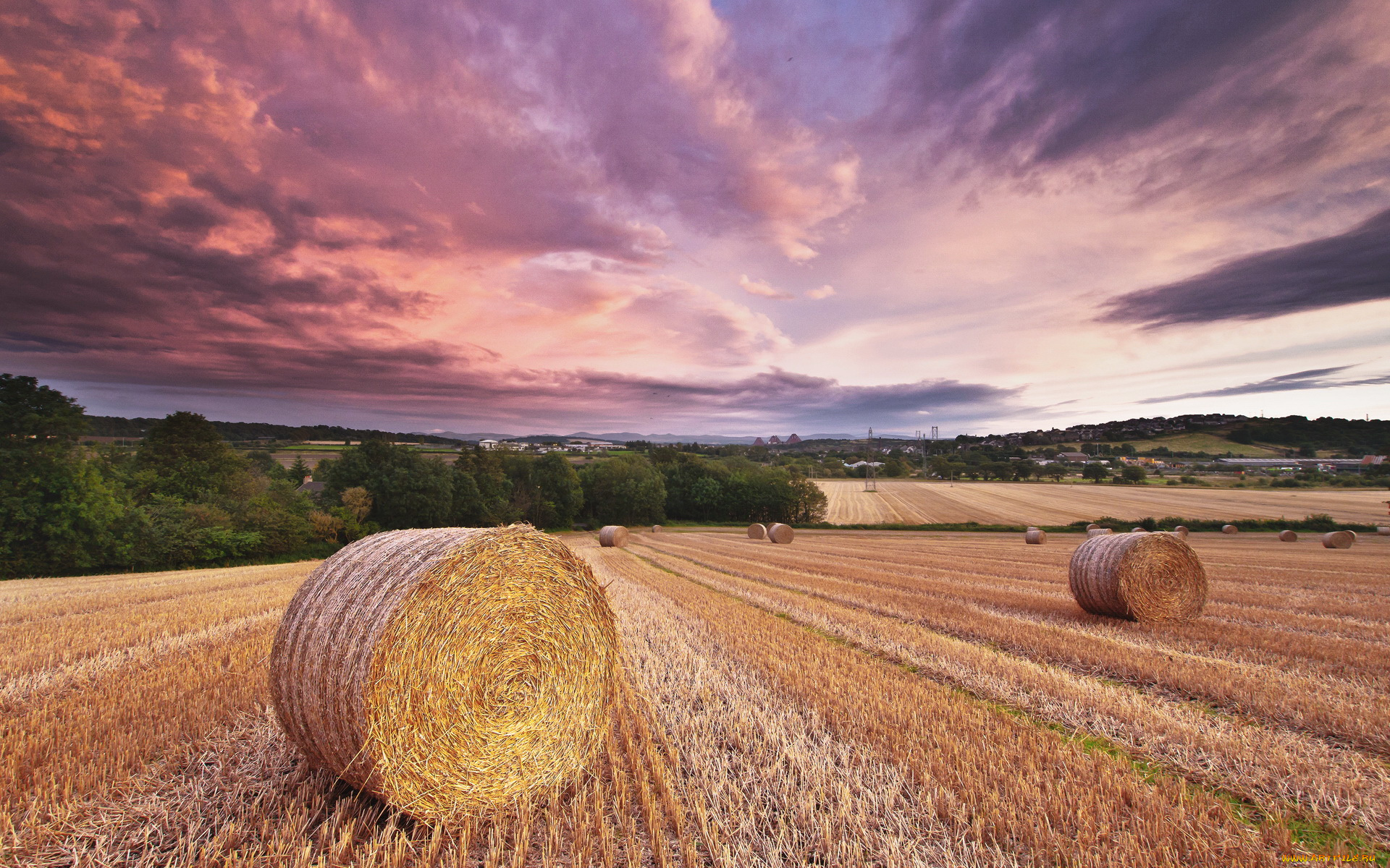 природа, поля, поле, облака, сено