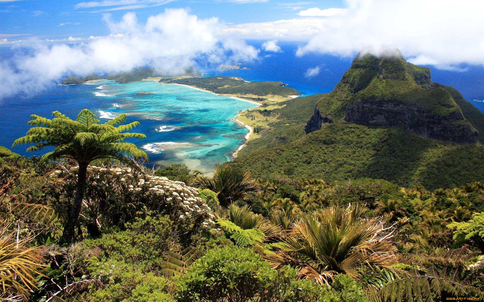 tropical, природа, тропики, океан, острова, пальмы, пляж