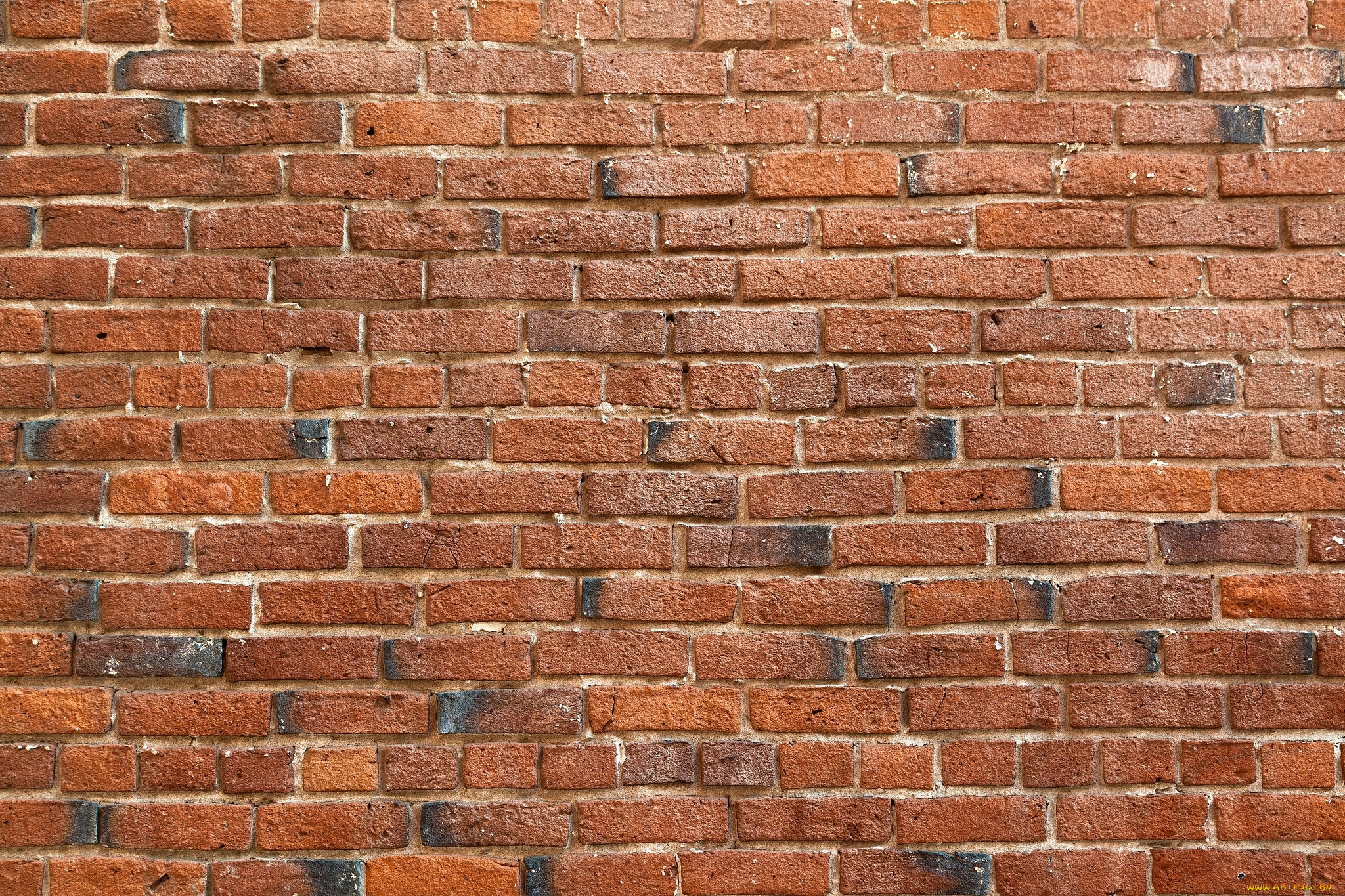разное, текстуры, стена, кирпич