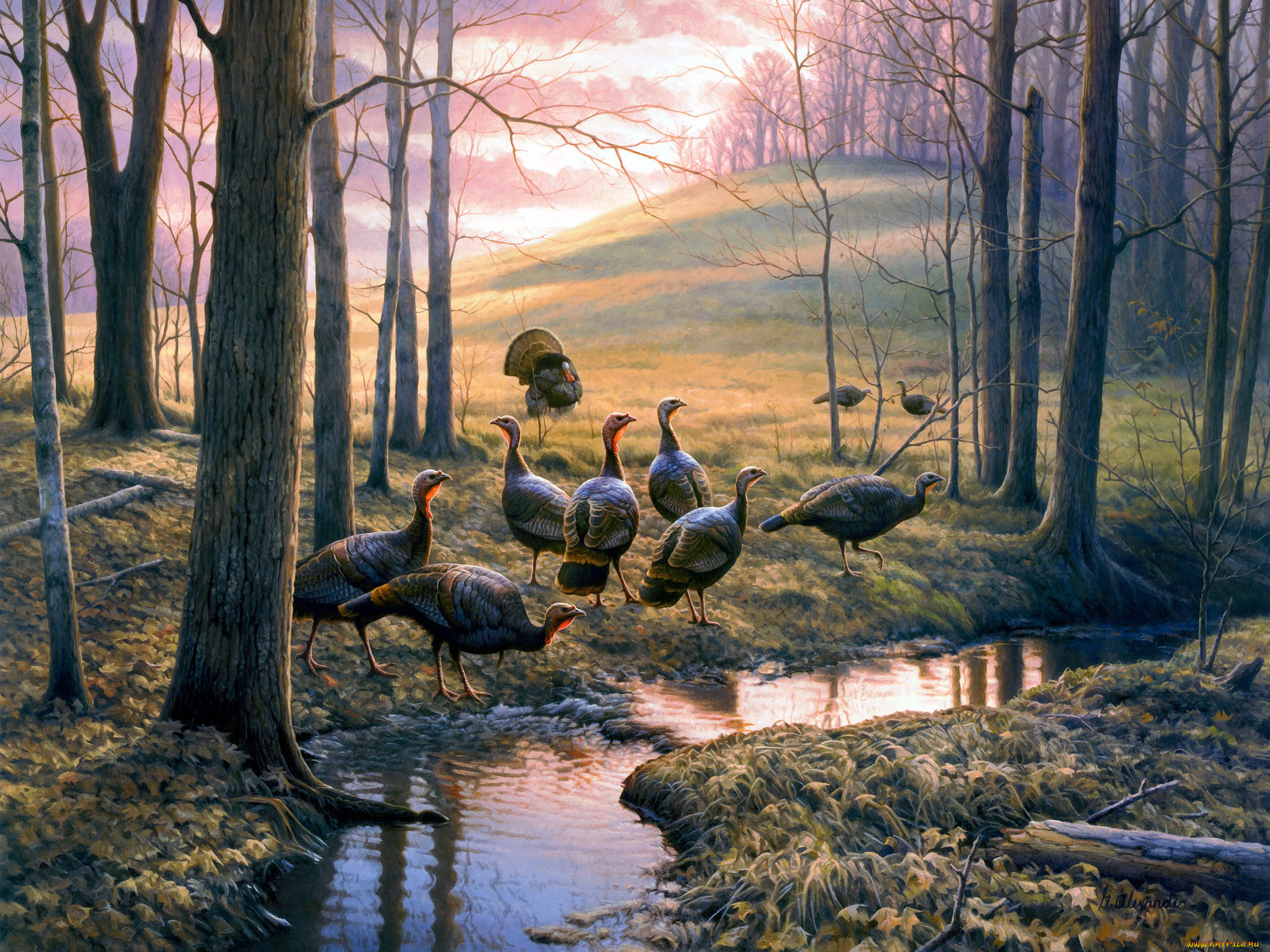 callin, em, out, рисованные, greg, alexander, осень, индюки, ручей, живопись
