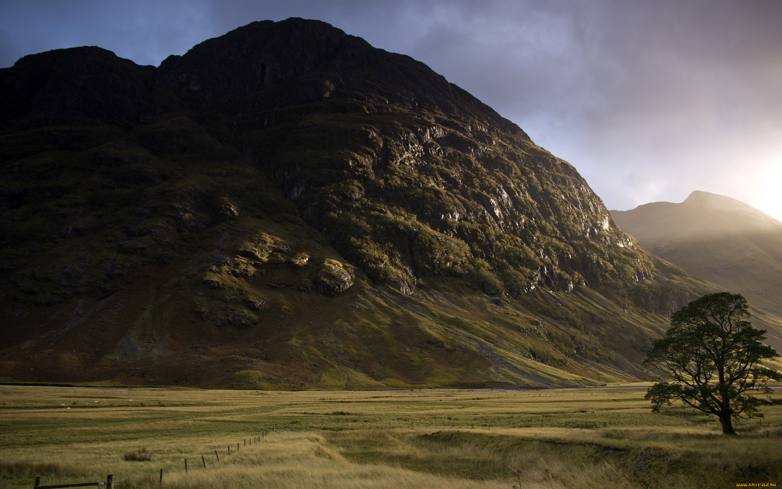 природа, горы, поле, гора, дерево