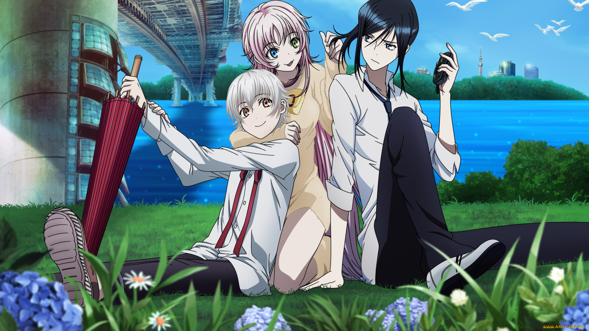 аниме, project, k-project, neko, yatogami, kuroh, yashiro, isana