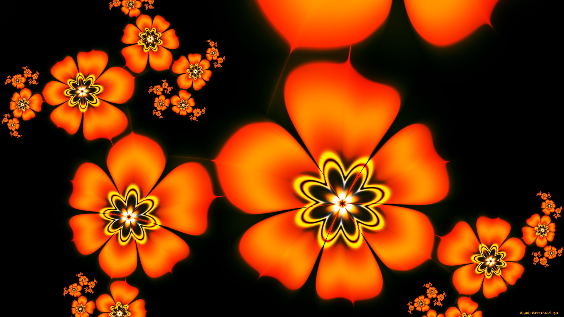 3д, графика, фракталы, , fractal, лепестки, цвета, фон, узор