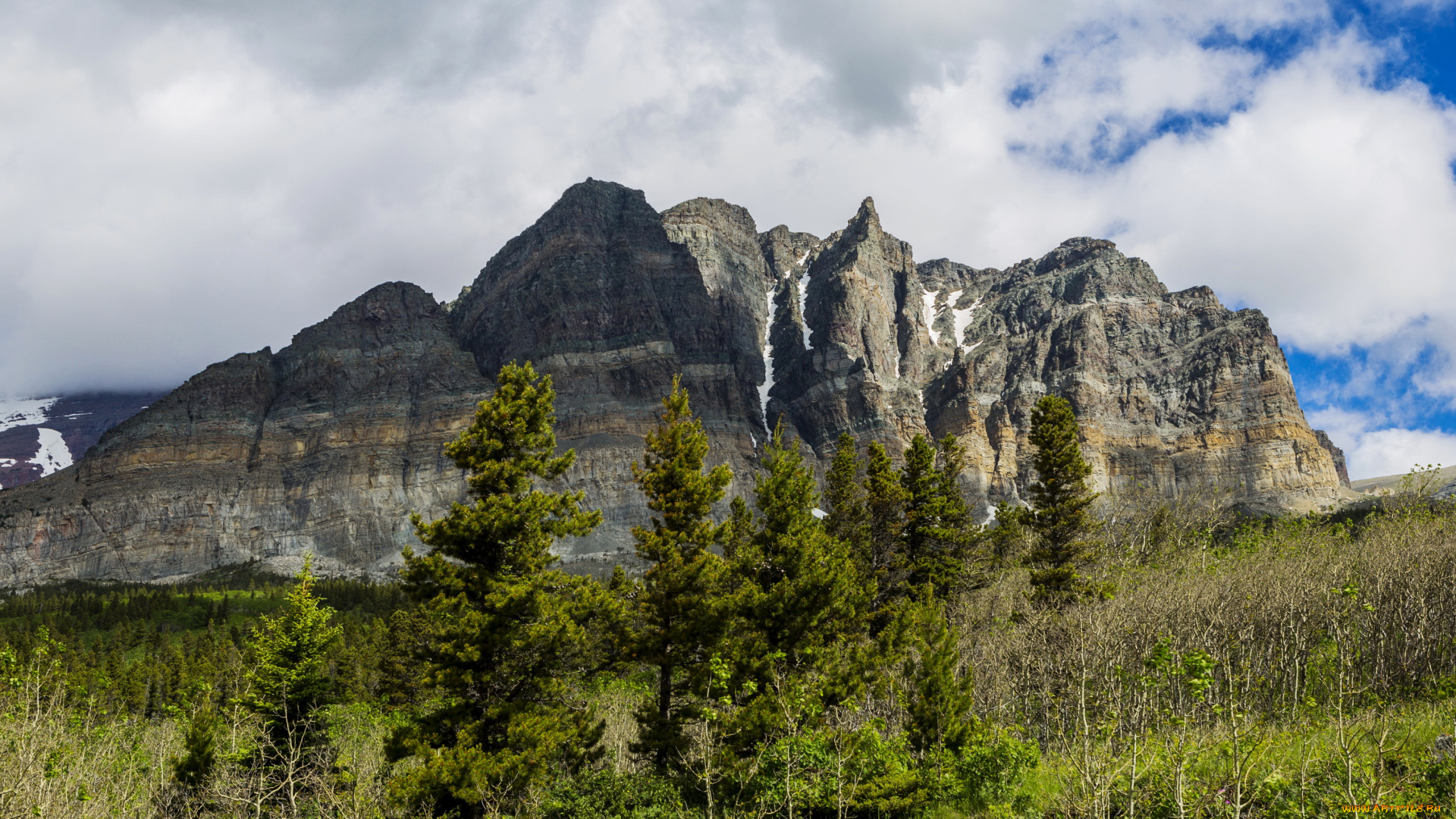 монтана, сша, glacier, national, park, природа, горы, парк, park, монтана, сша, glacier, ели, трава