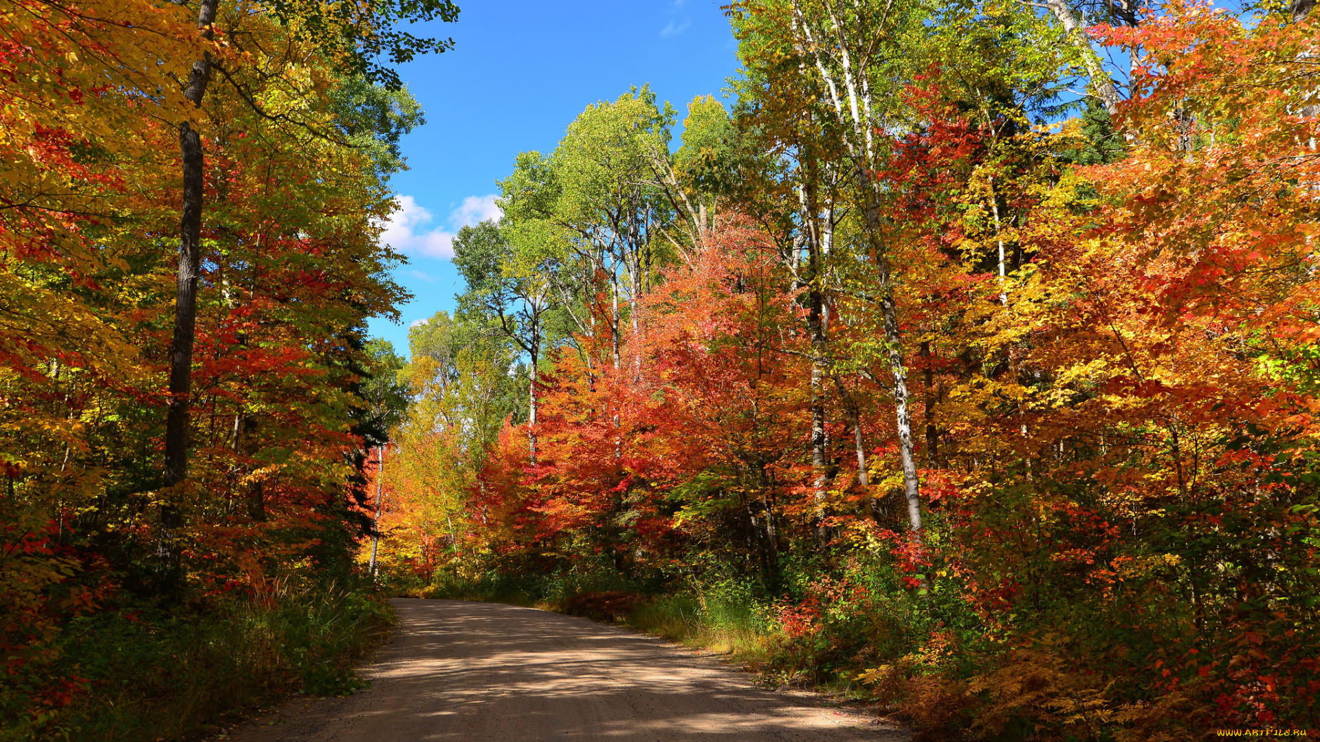 природа, дороги, осень, деревья, лес, дорога, небо