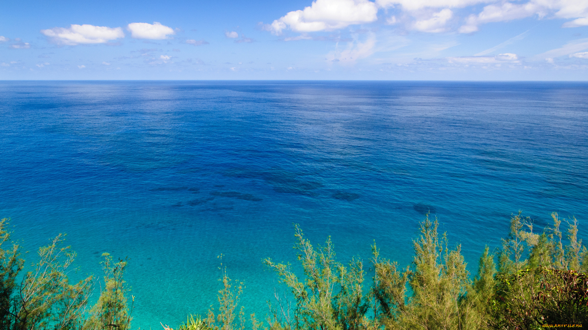 природа, моря, океаны, море, горизонт, облака, небо, растения, трава