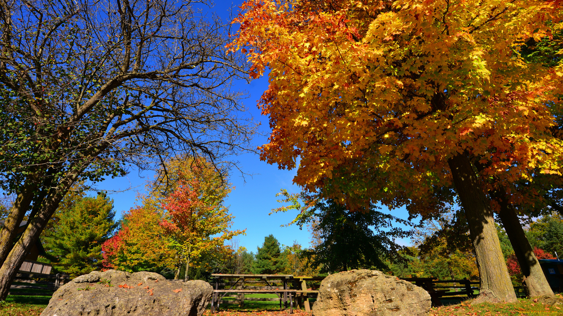природа, парк, камни, забор, небо, осень, дерево