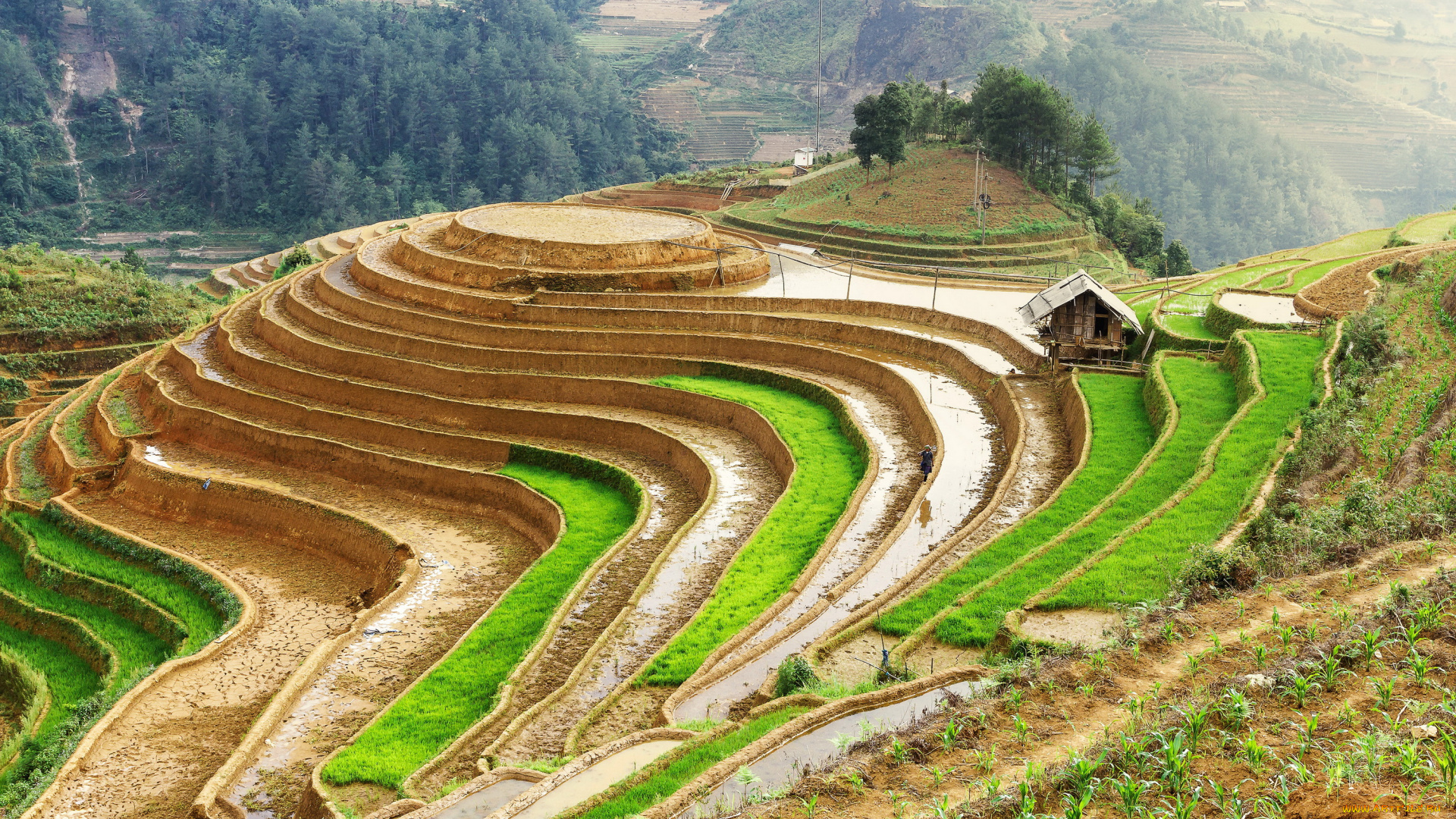 природа, поля, пейзаж