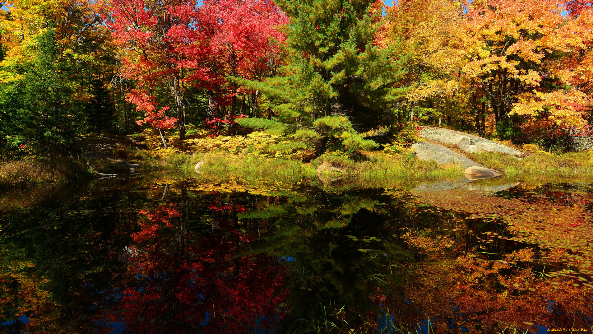 природа, реки, озера, деревья, осень, озеро, лес, небо