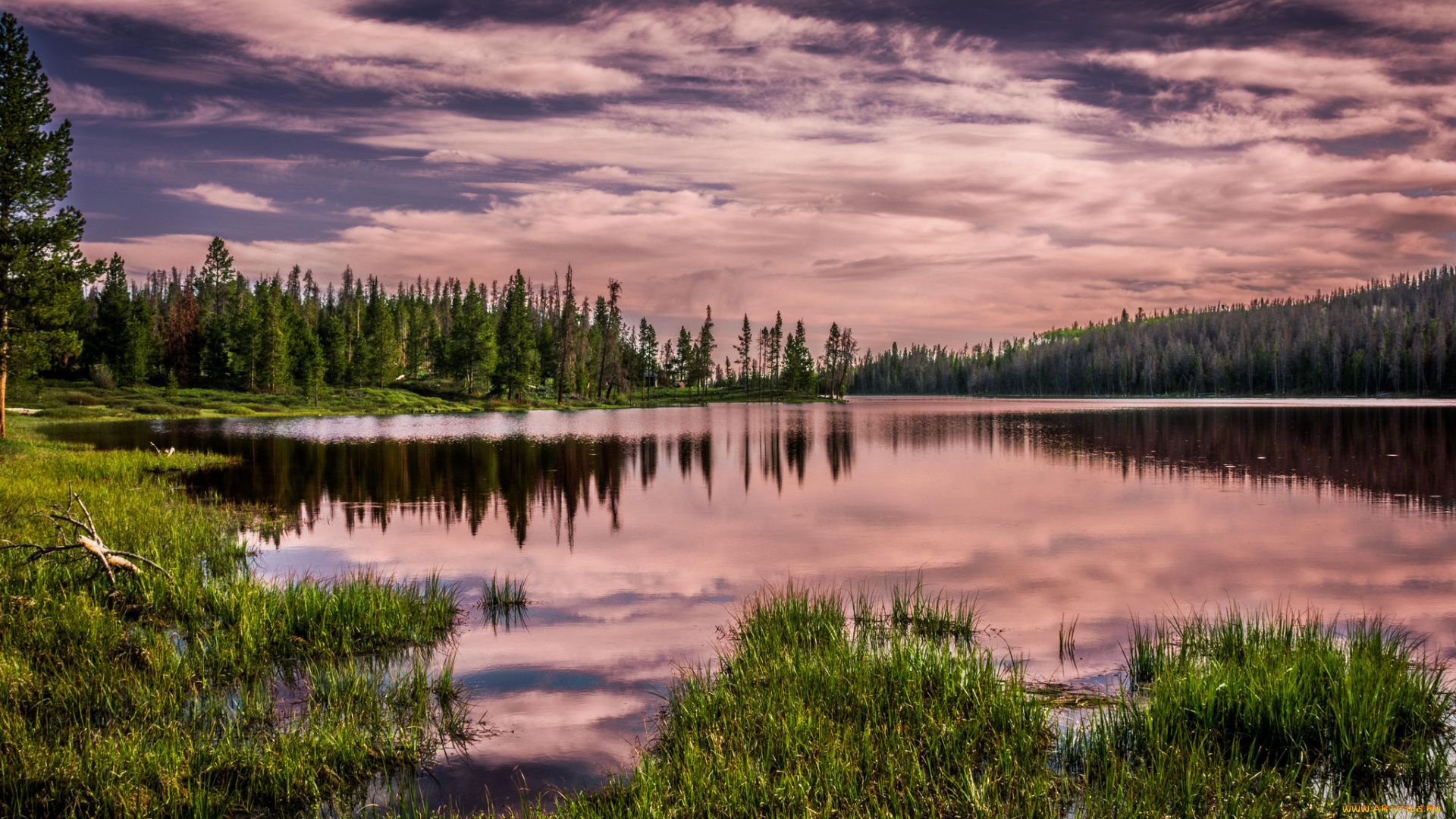природа, реки, озера, тучи, озеро, лес