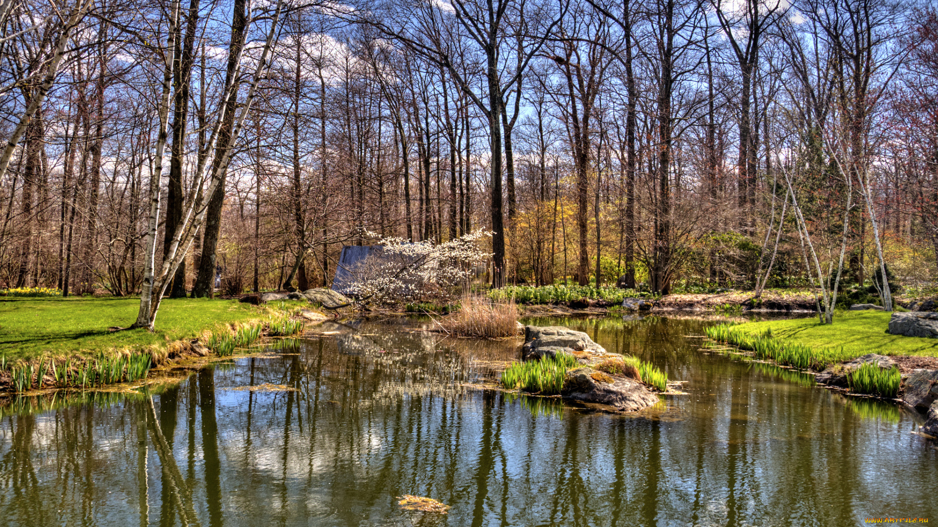 природа, реки, озера, вода, лес