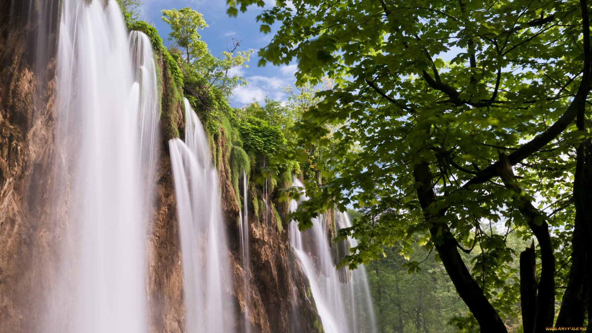 природа, водопады, водопад, каскад, лес
