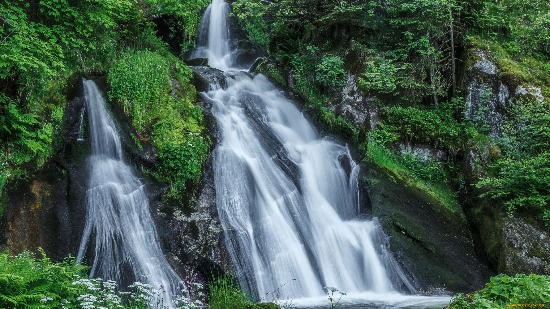 природа, водопады, водопад, лес, река