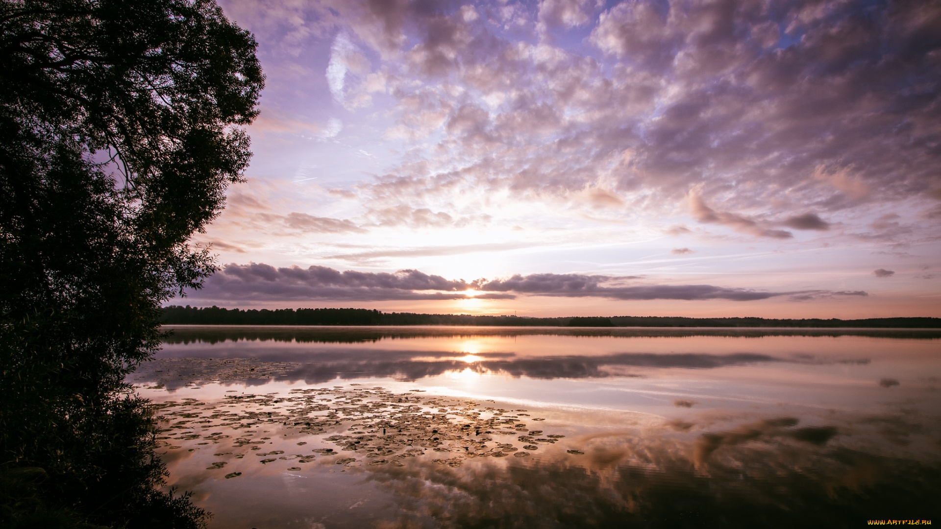 природа, восходы, закаты, отражение, рассвет, утро, озеро, лес