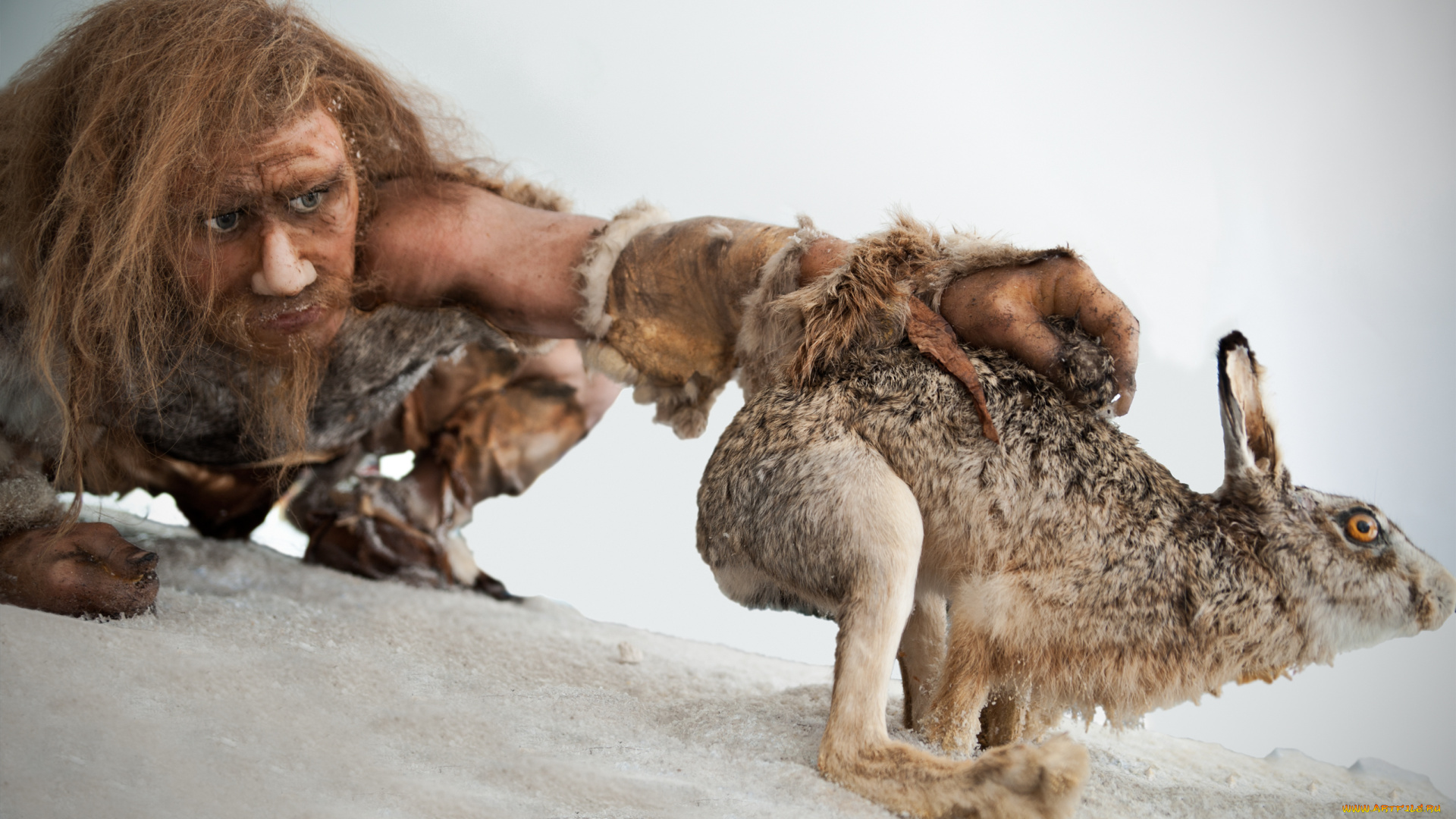 разное, рельефы, , статуи, , музейные, экспонаты, мужчина, восковая, скульптура, заяц, охотник