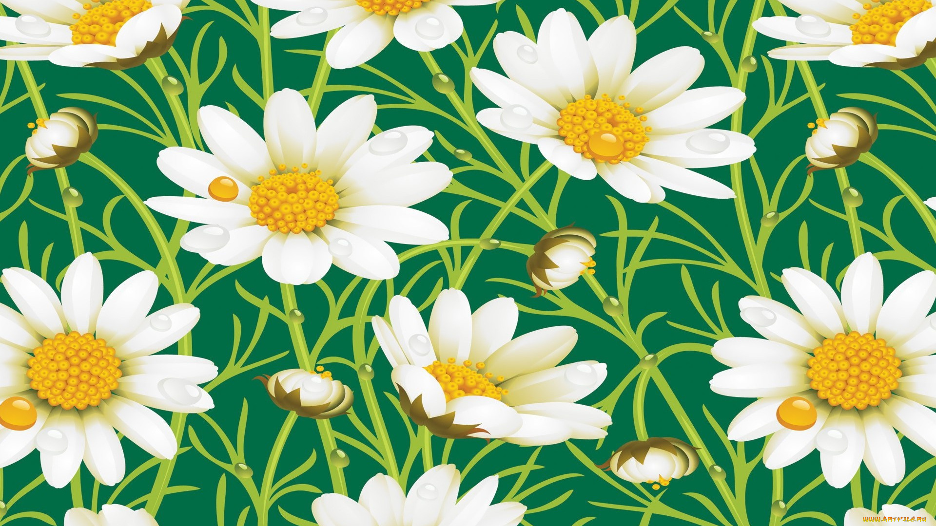 векторная, графика, цветы, листья, ромашки