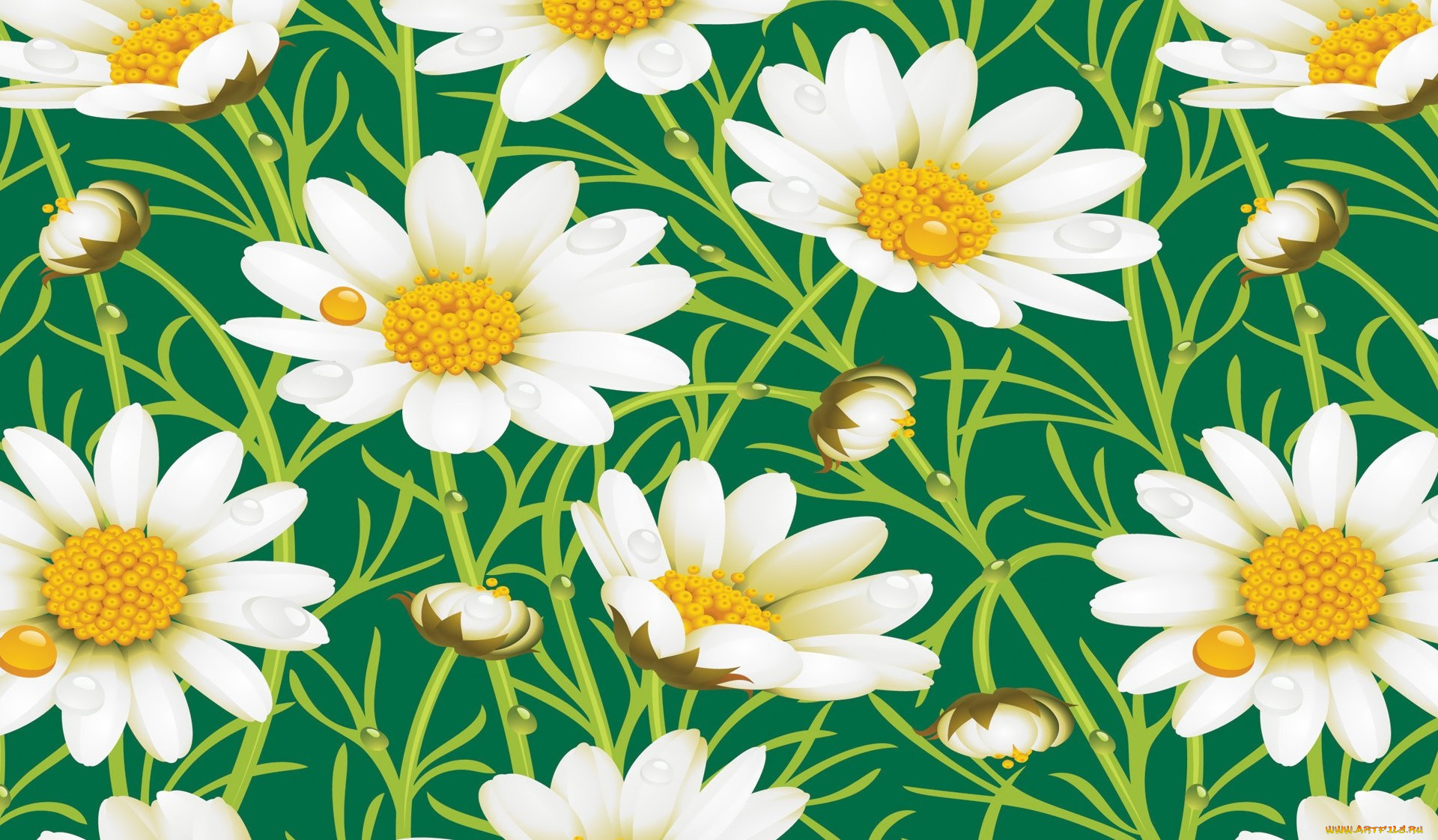 векторная, графика, цветы, листья, ромашки