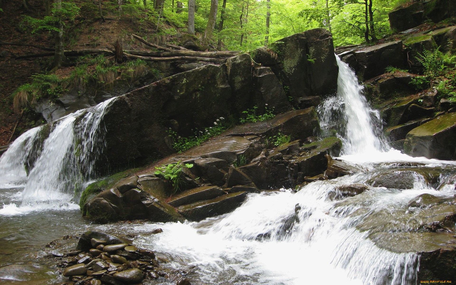 природа, водопады, поток, камни
