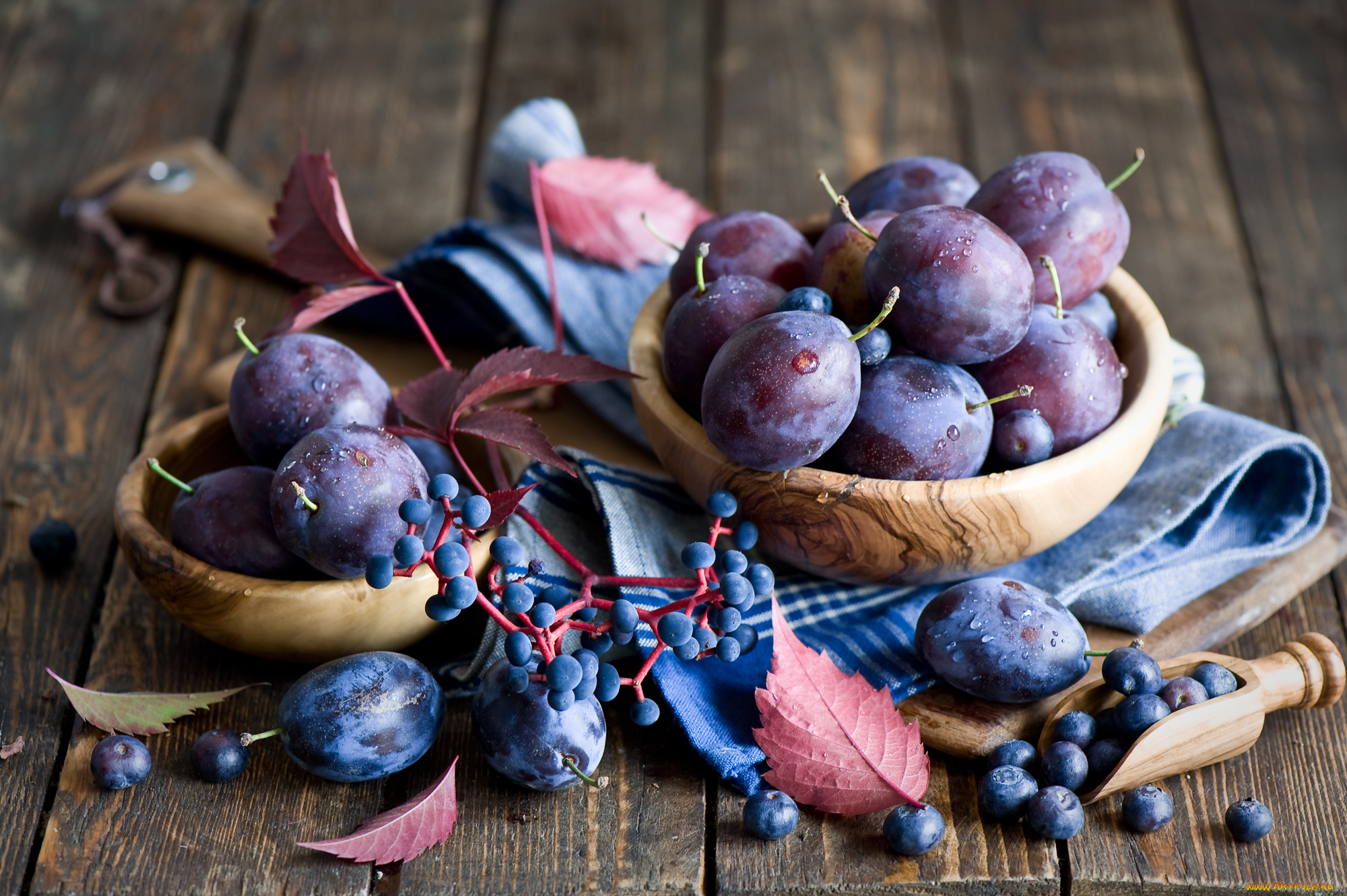 еда, персики, , сливы, , абрикосы, листья, осень, ягоды, фрукты, сливы, натюрморт