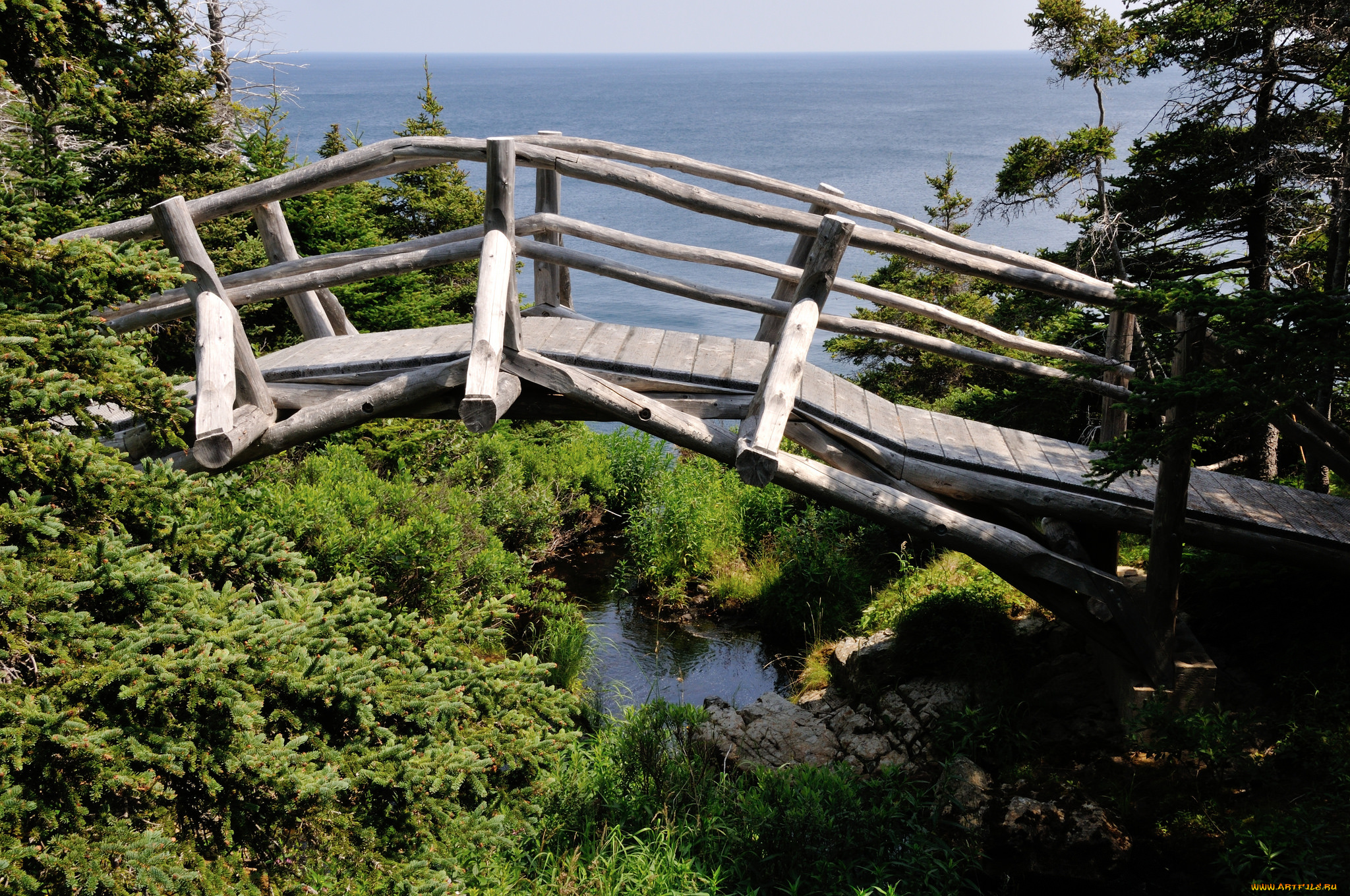 природа, побережье, мостик, овраг, море