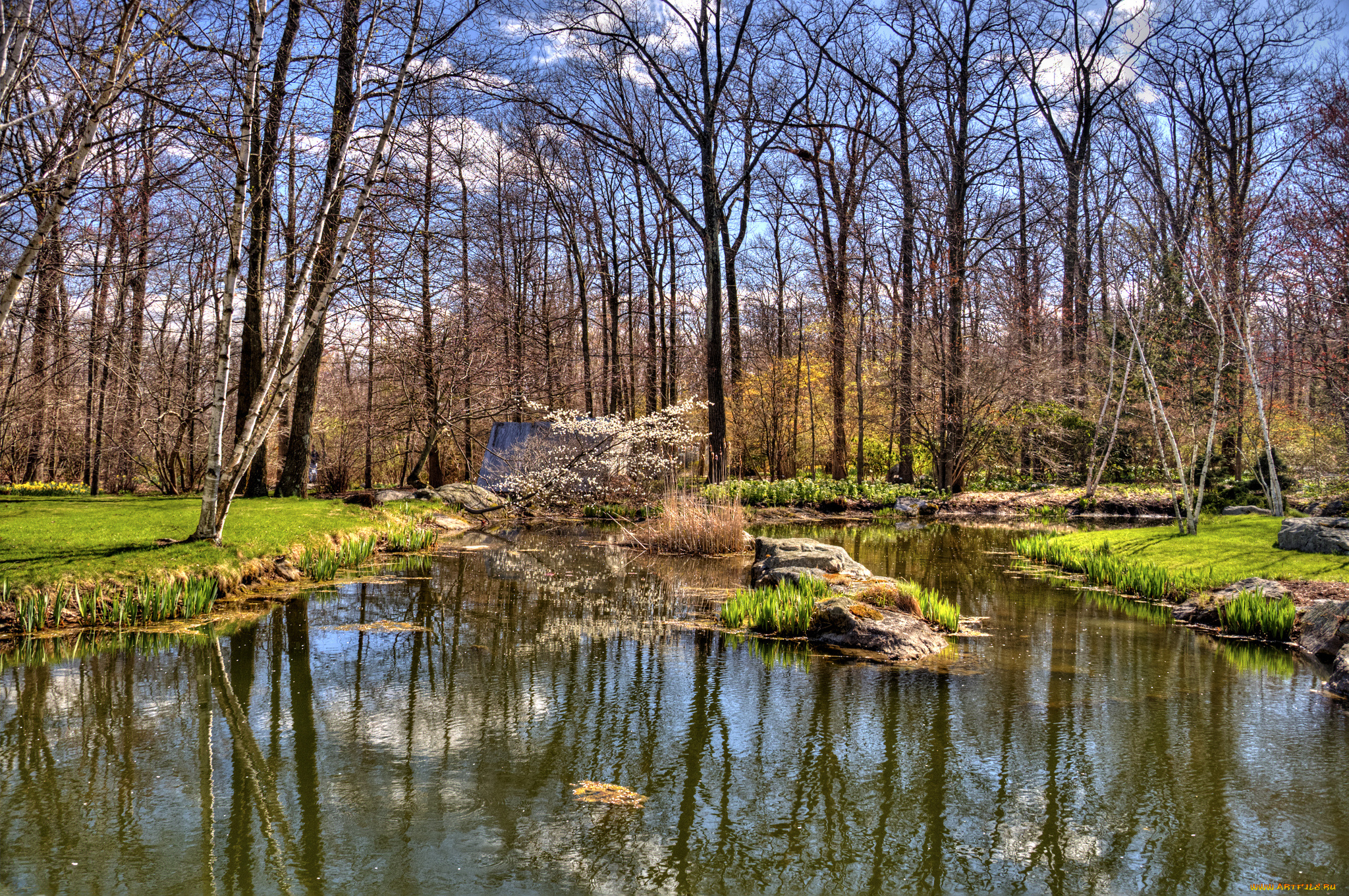 природа, реки, озера, вода, лес